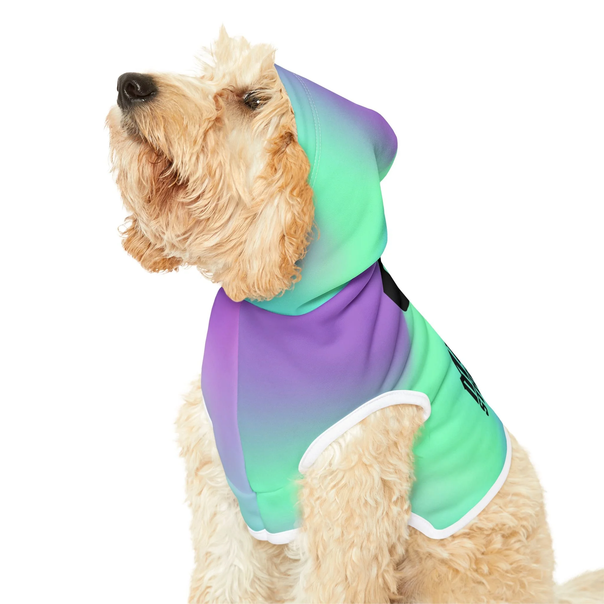 7eb0d4b4f099621f8025524368e6f25e