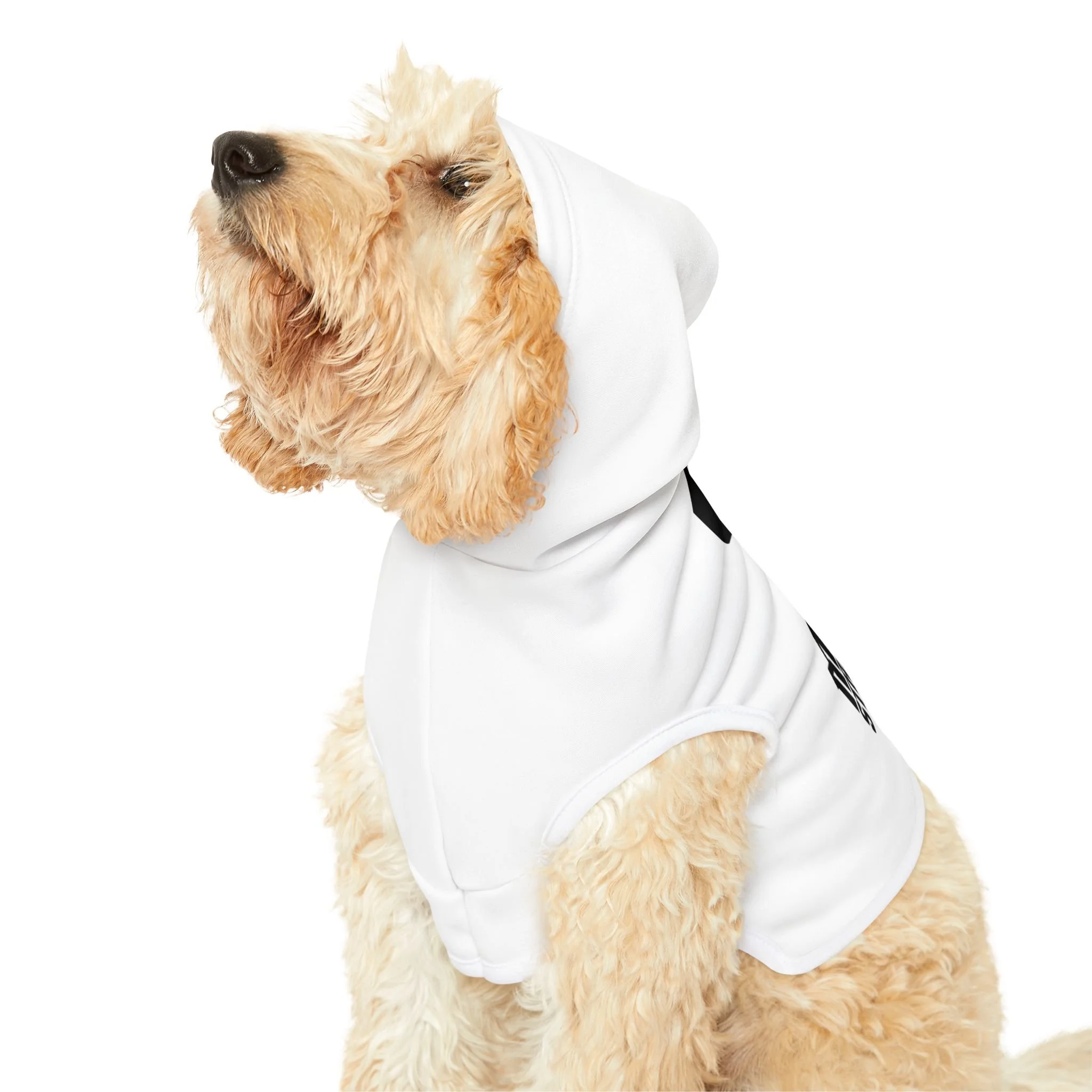 5581c5f295be831f4b5b525067f10a08