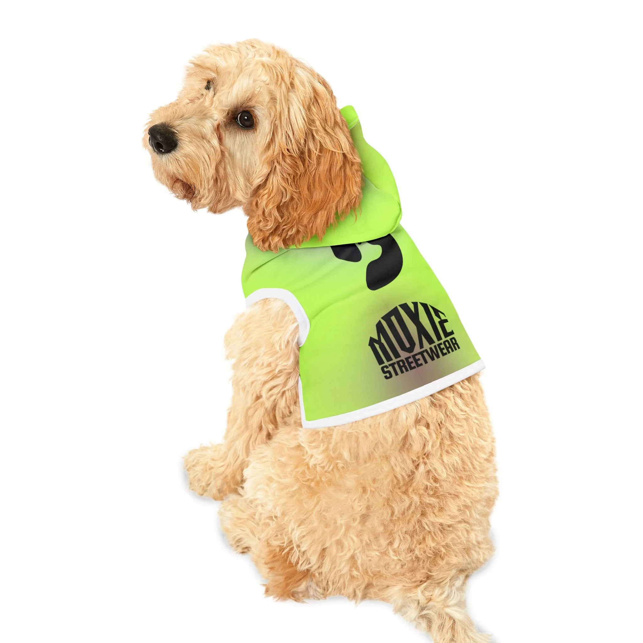 41557591c18677d96b2dfd2502f229ab