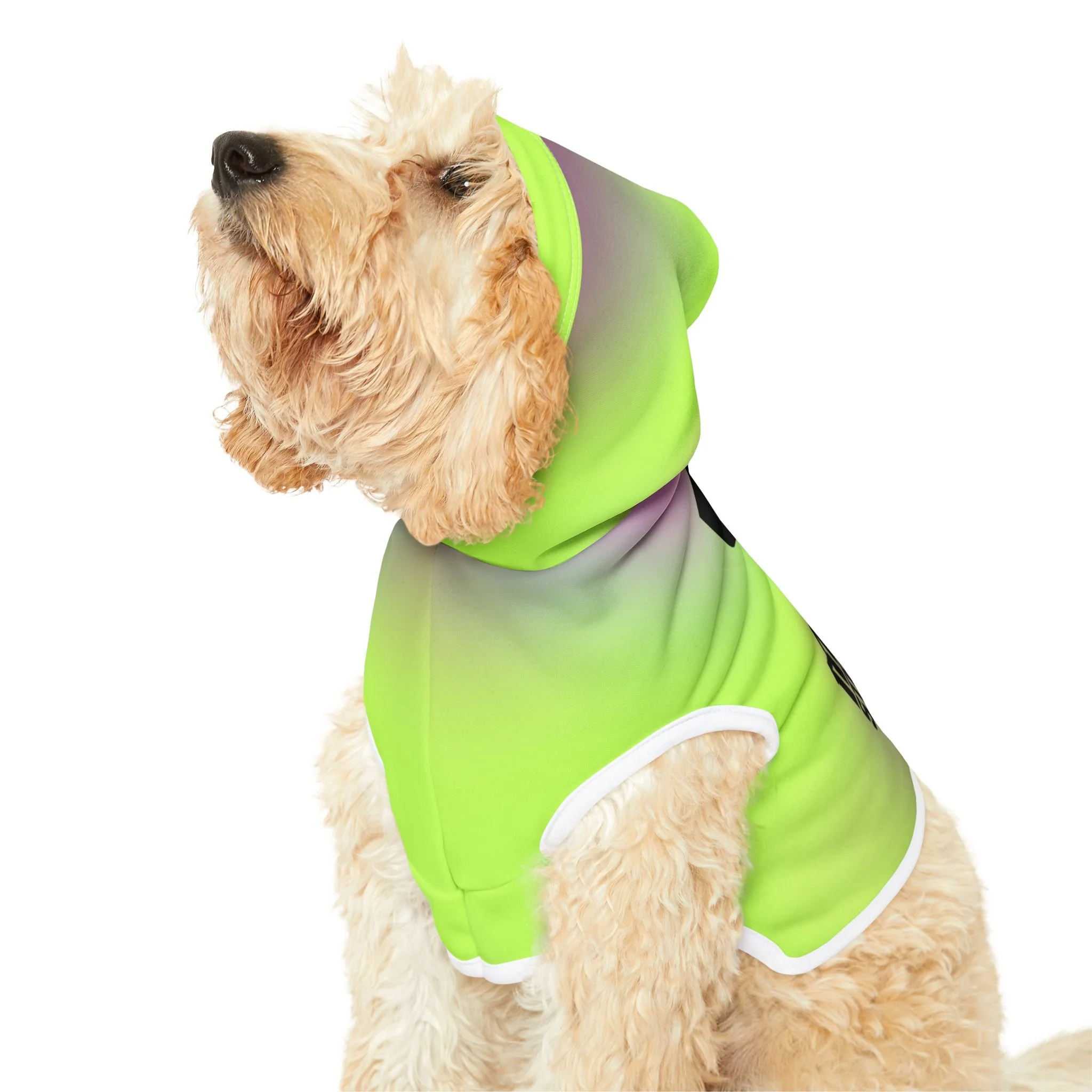 71e44518d7b8cfce8a876342a80e526a