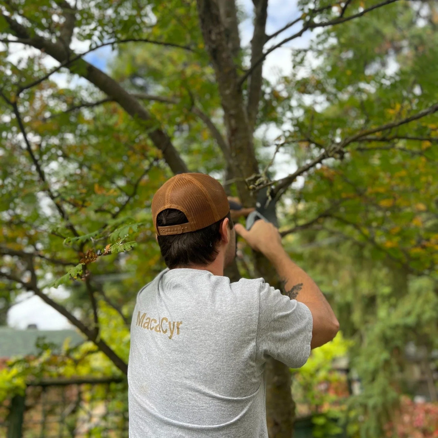 Got a task you’ve been putting off? We’ll take care of it! From moving furniture and stacking wood to putting up shelves or fixing that loose board — no job is too small.
Reliable help for all your odd jobs — book us today!