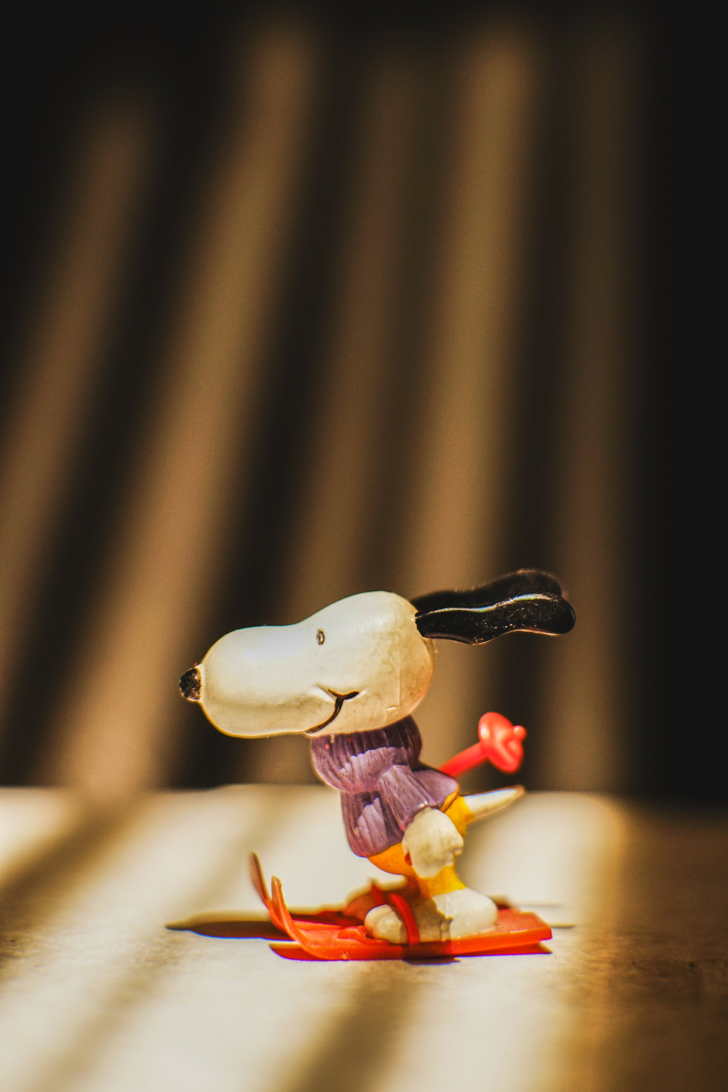 DSC01106.jpg