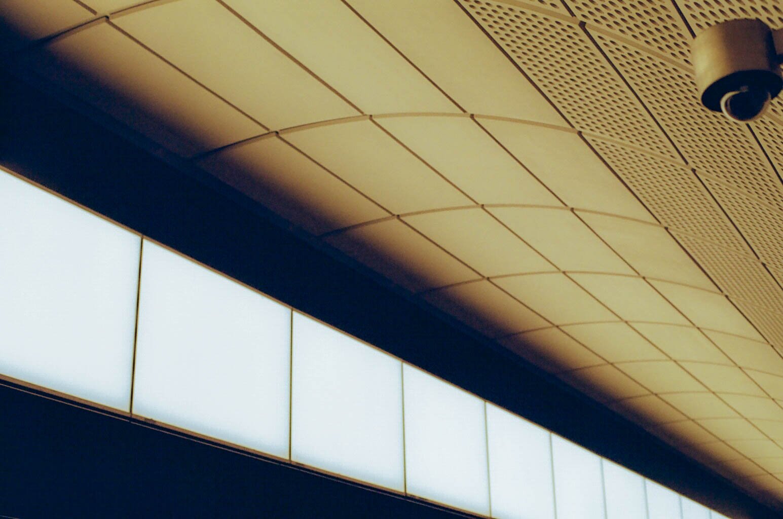 92600020.JPG