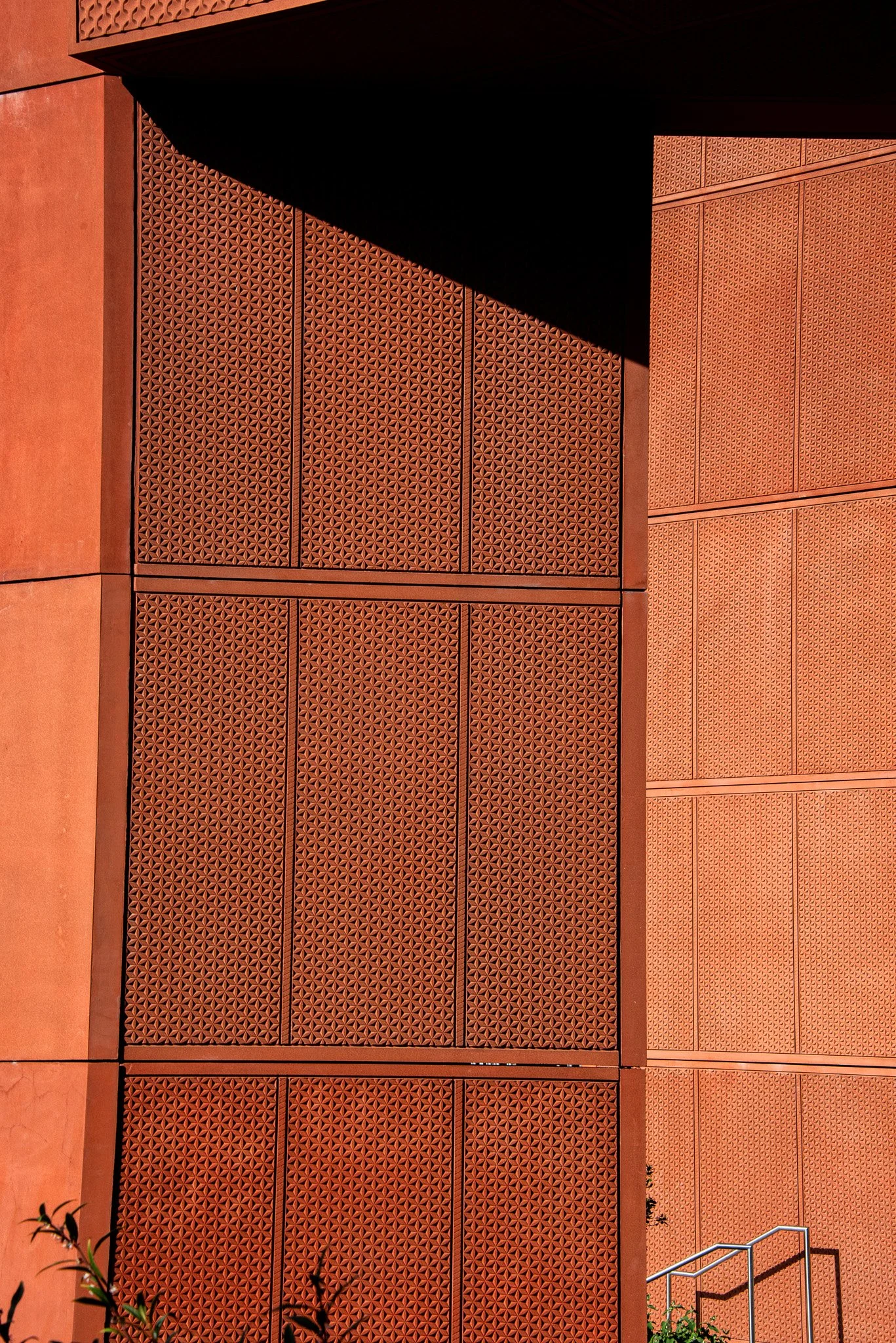 _DSC8373.jpg