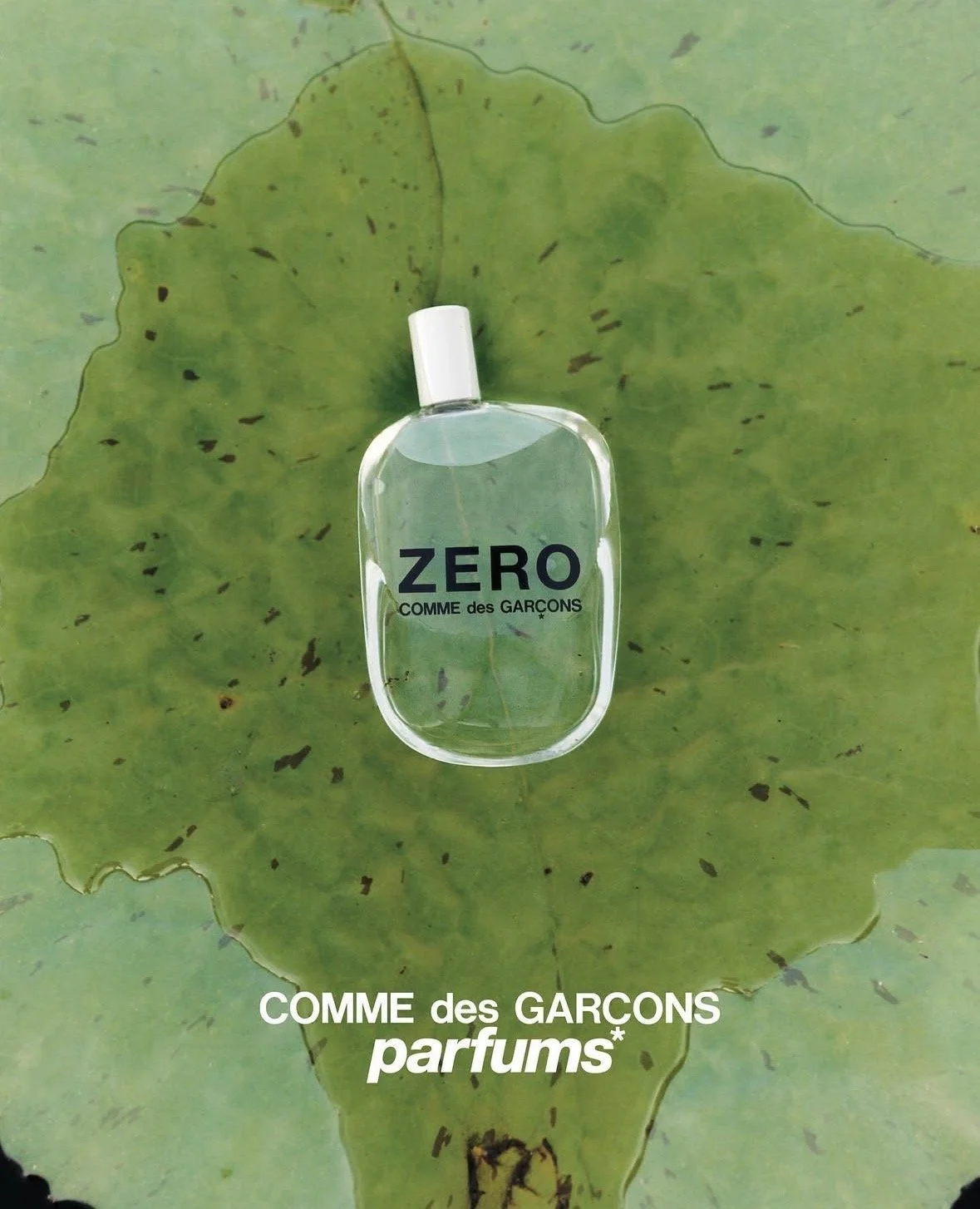 A bottle of perfume labeled 'ZERO COMME des GARÇONS' placed on a large green leaf.