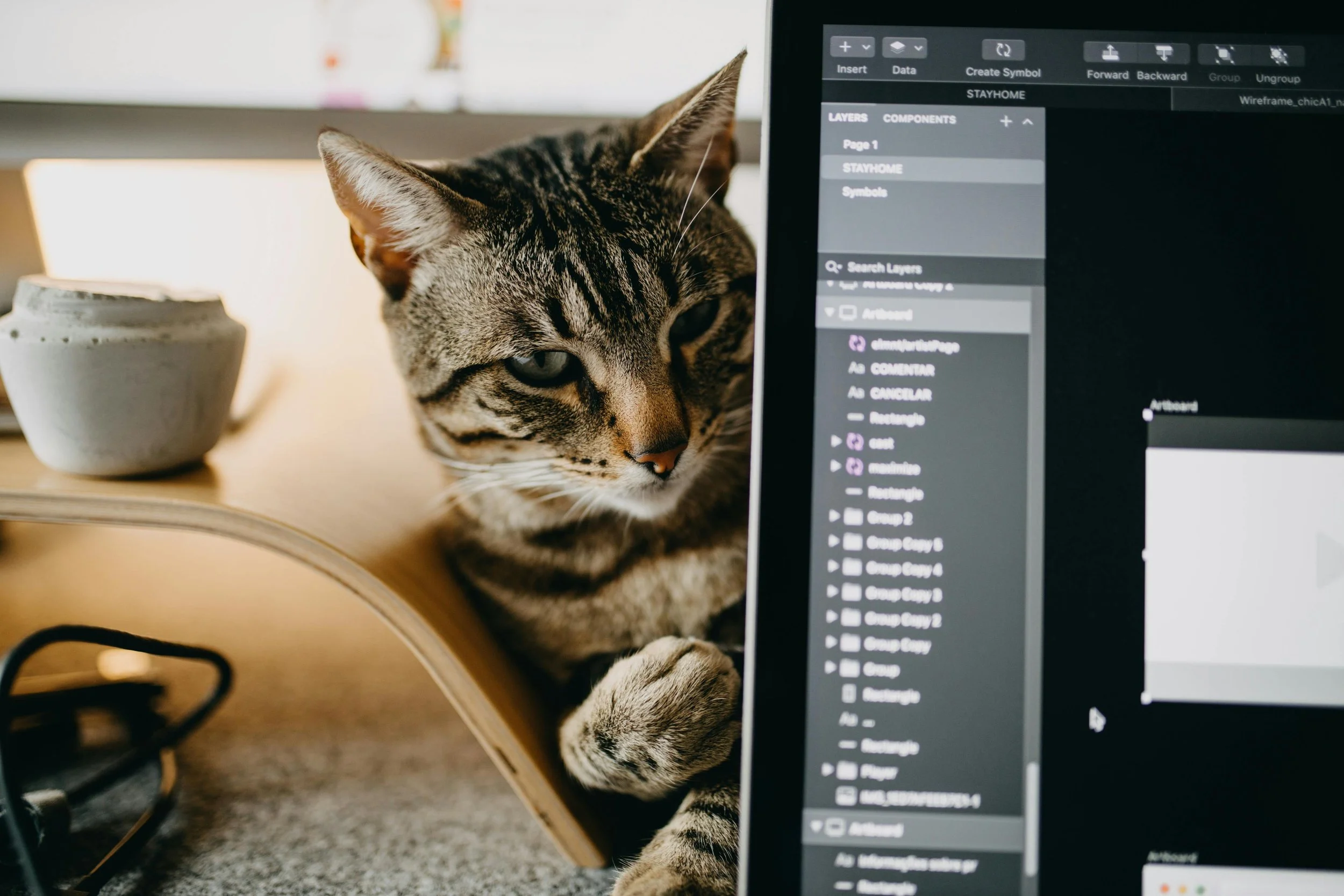 Un chat tigré gris qui regarde un écran d'ordinateur portable sur un bureau en bois, à côté d'une tasse blanche et d'un câble noir.