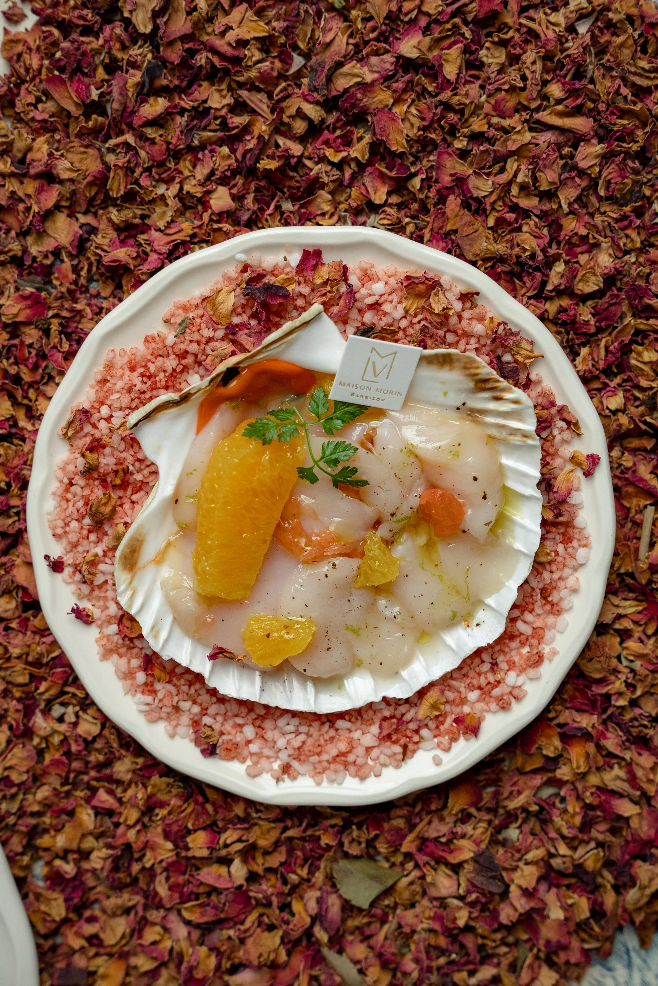 Carpaccio de St-Jacques 