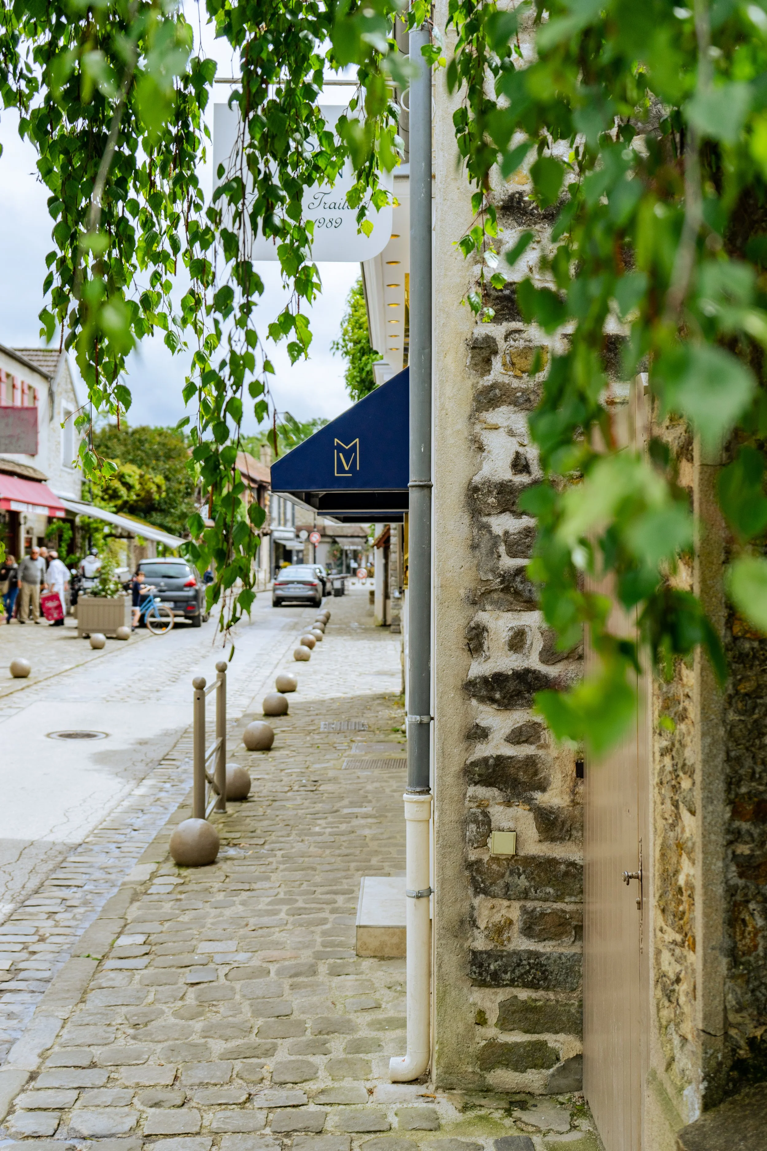 Ruelle piétonne bordée de commerces avec des arbres et des voitures au fond, lampadaires, et un pavé ancien.
