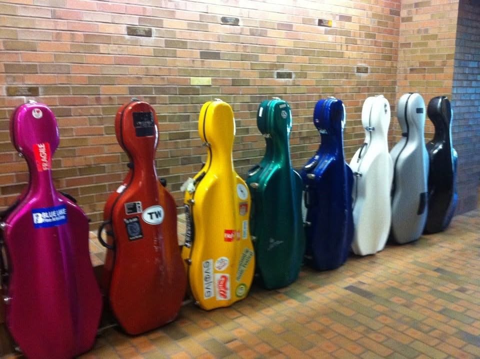 Cello Case Shopping Guide