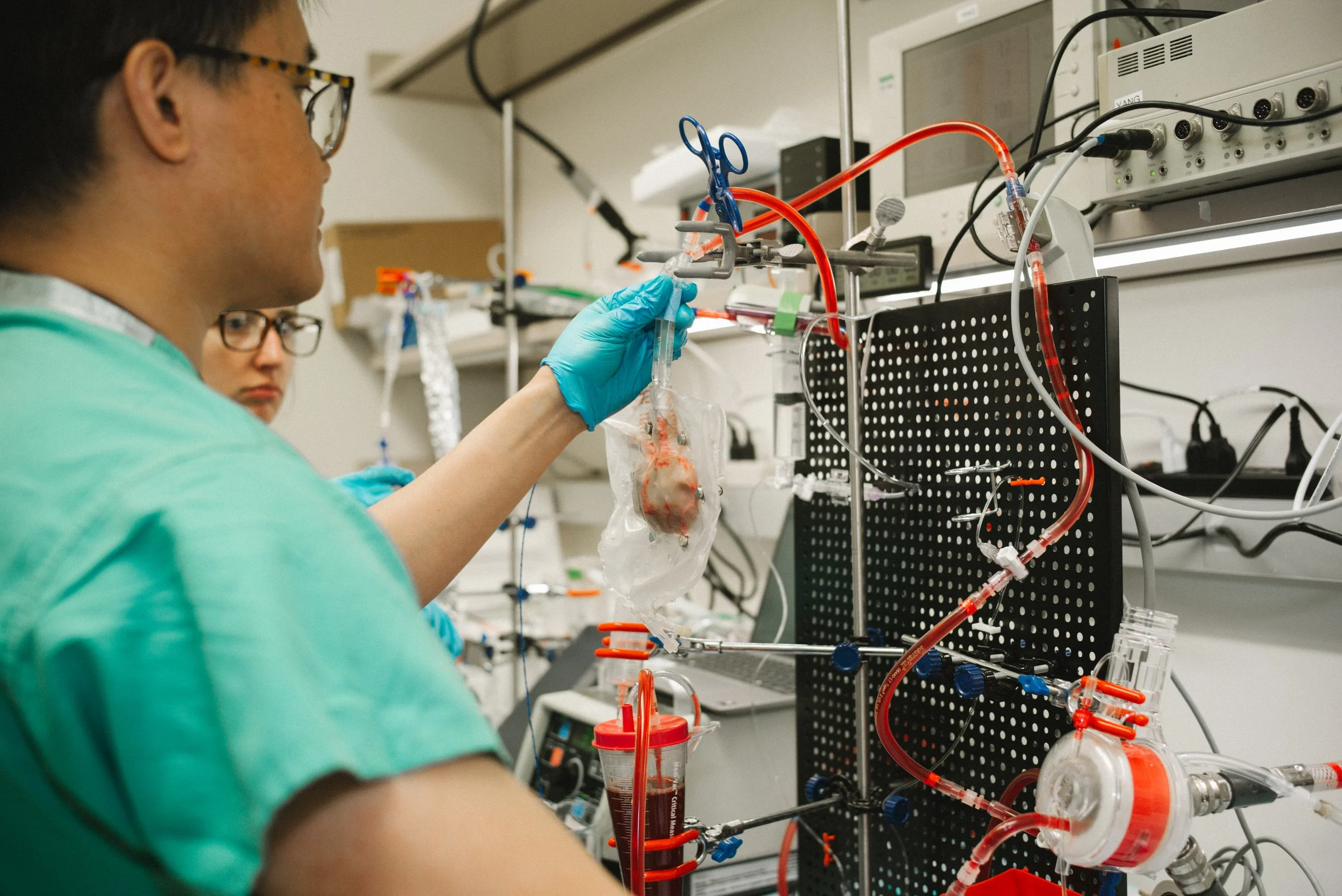 A scientist in protective gloves working in a laboratory, handling a heart specimen connected to a complex array of tubes and medical equipment.