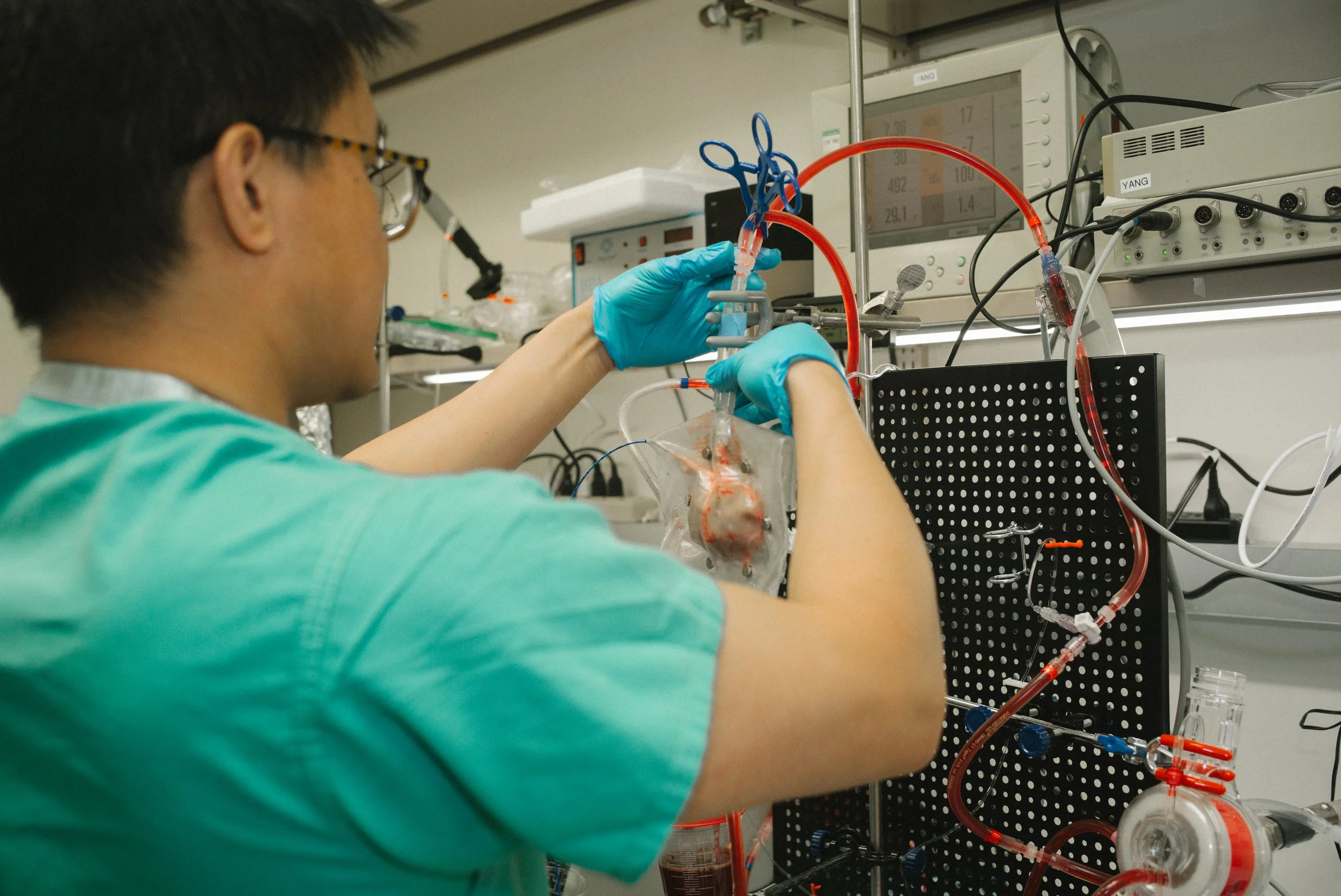 A scientist wearing gloves and protective glasses working with a dialysis machine in a laboratory, handling blood tubing connected to a clear organ or model.