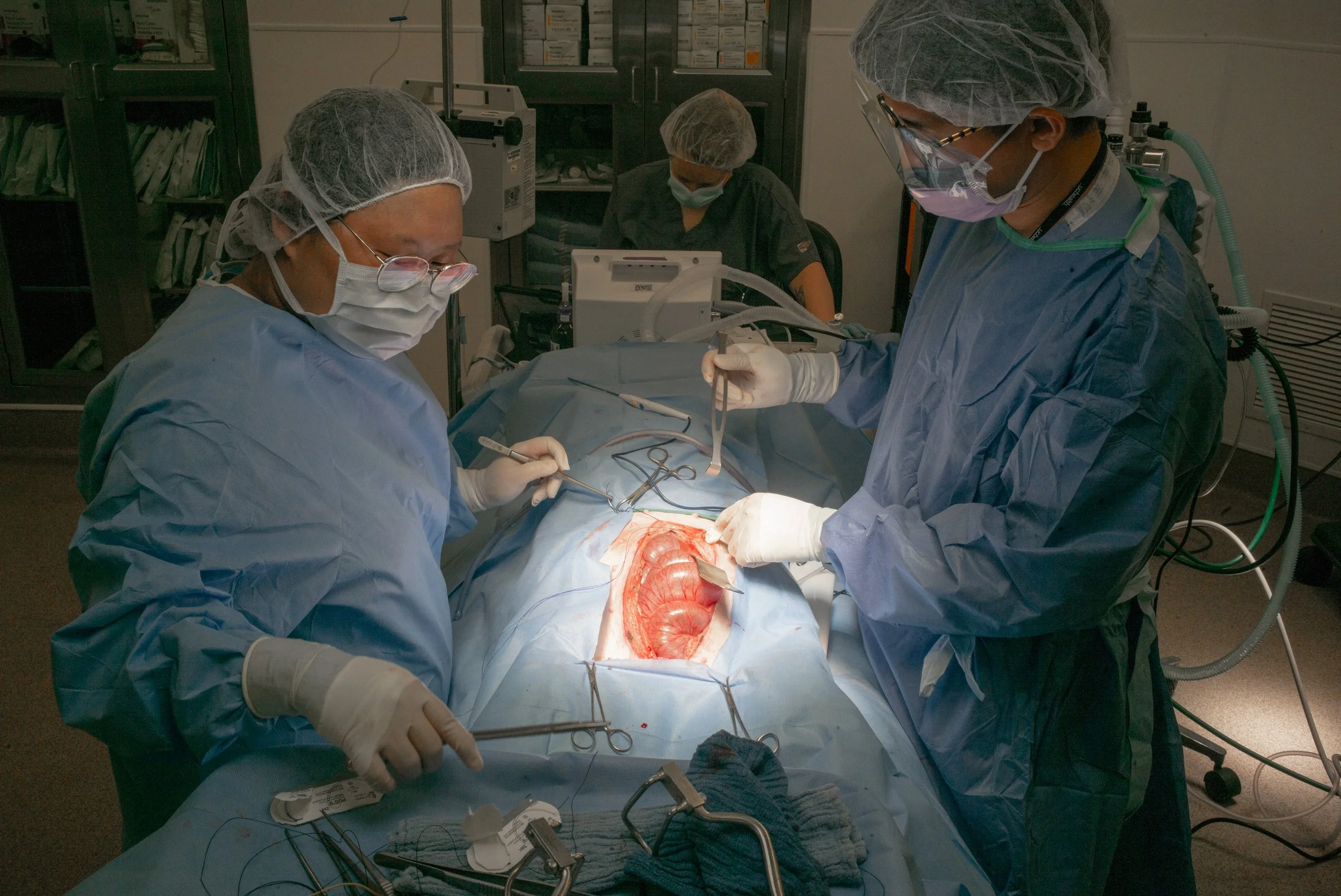 Medical professionals wearing surgical masks, gloves, and gowns performing surgery in an operating room. They are working on a patient, with surgical instruments and equipment visible.