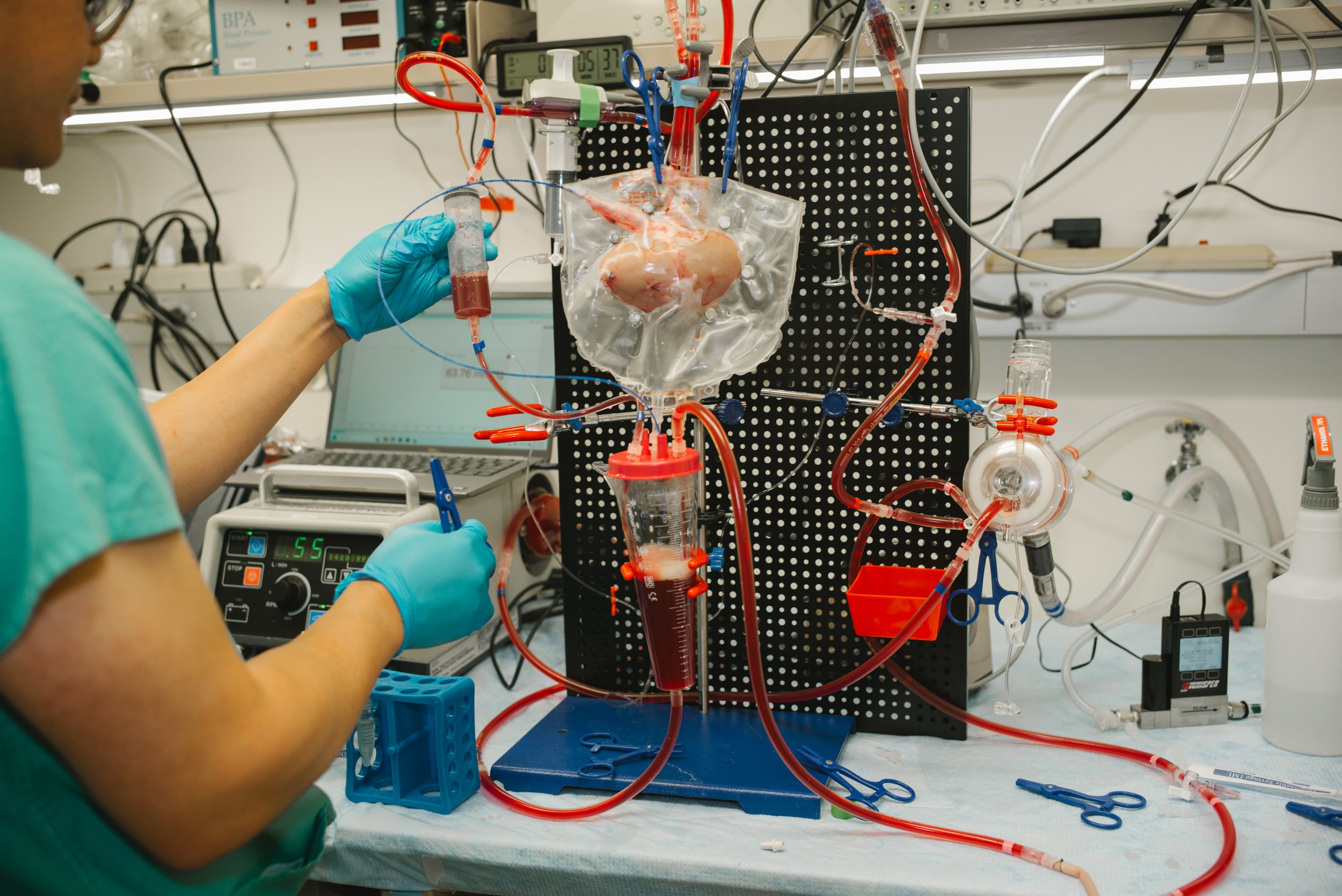 A scientist in teal scrubs and blue gloves working with a complex laboratory setup involving tubing, a sealed container with a heart inside, and various scientific instruments on a lab bench.