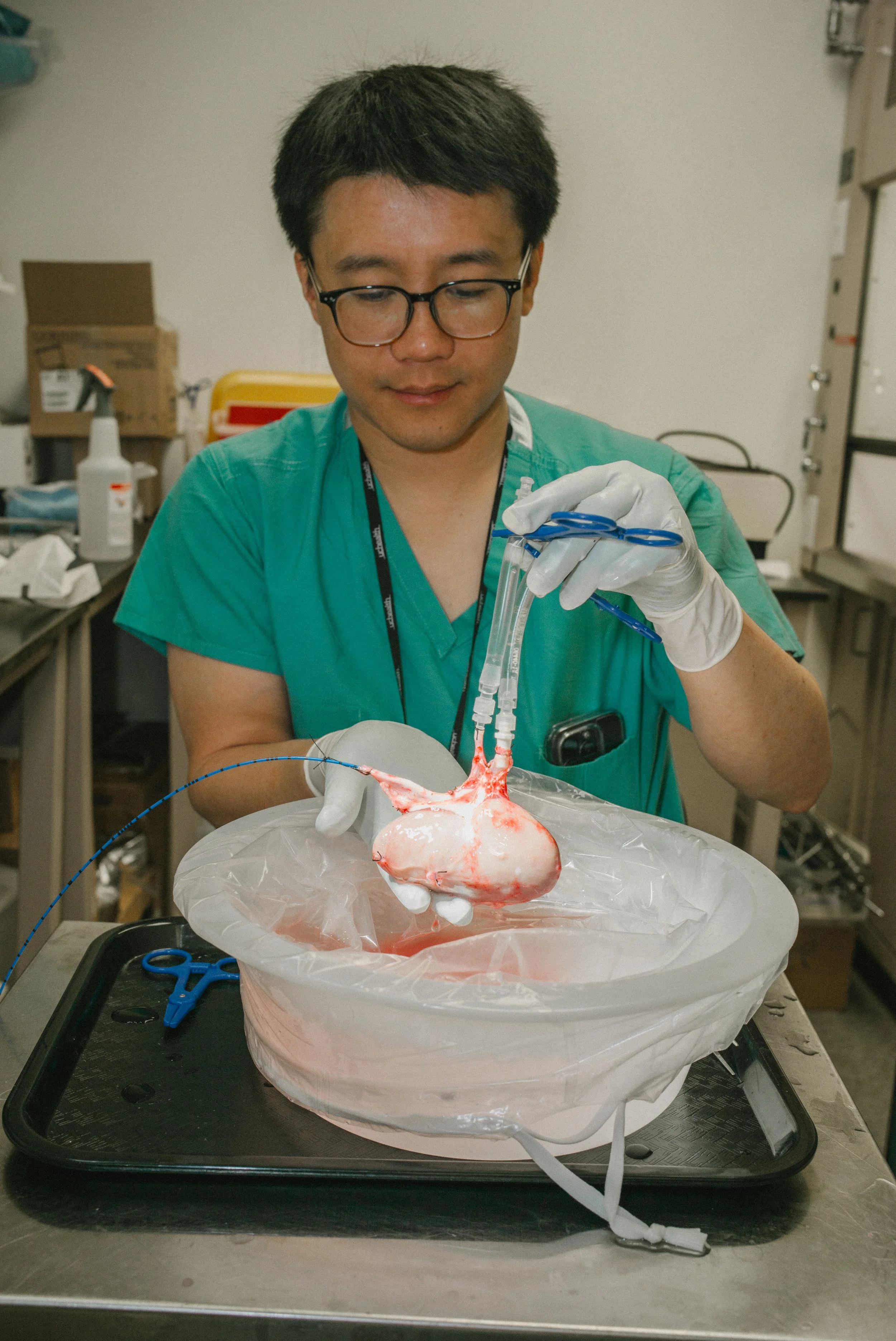 Medical professional in green scrubs and glasses holding a preserved human heart in a laboratory setting.