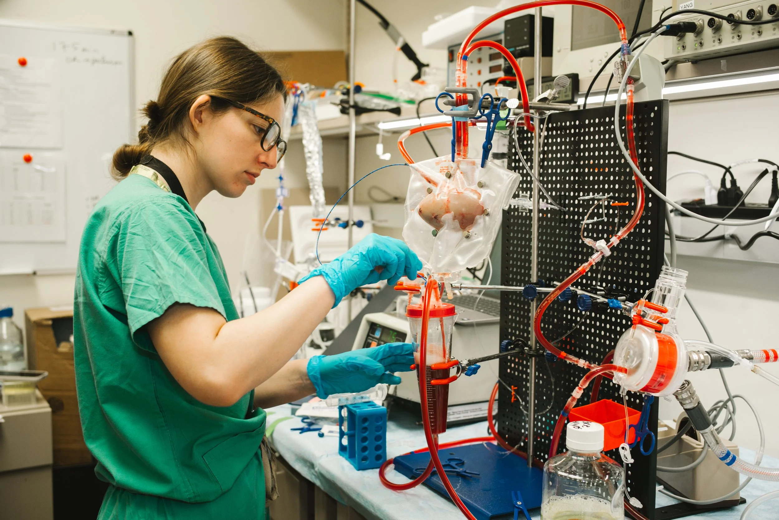 A researcher in green scrubs and blue gloves working with a heart on a medical apparatus in a laboratory.