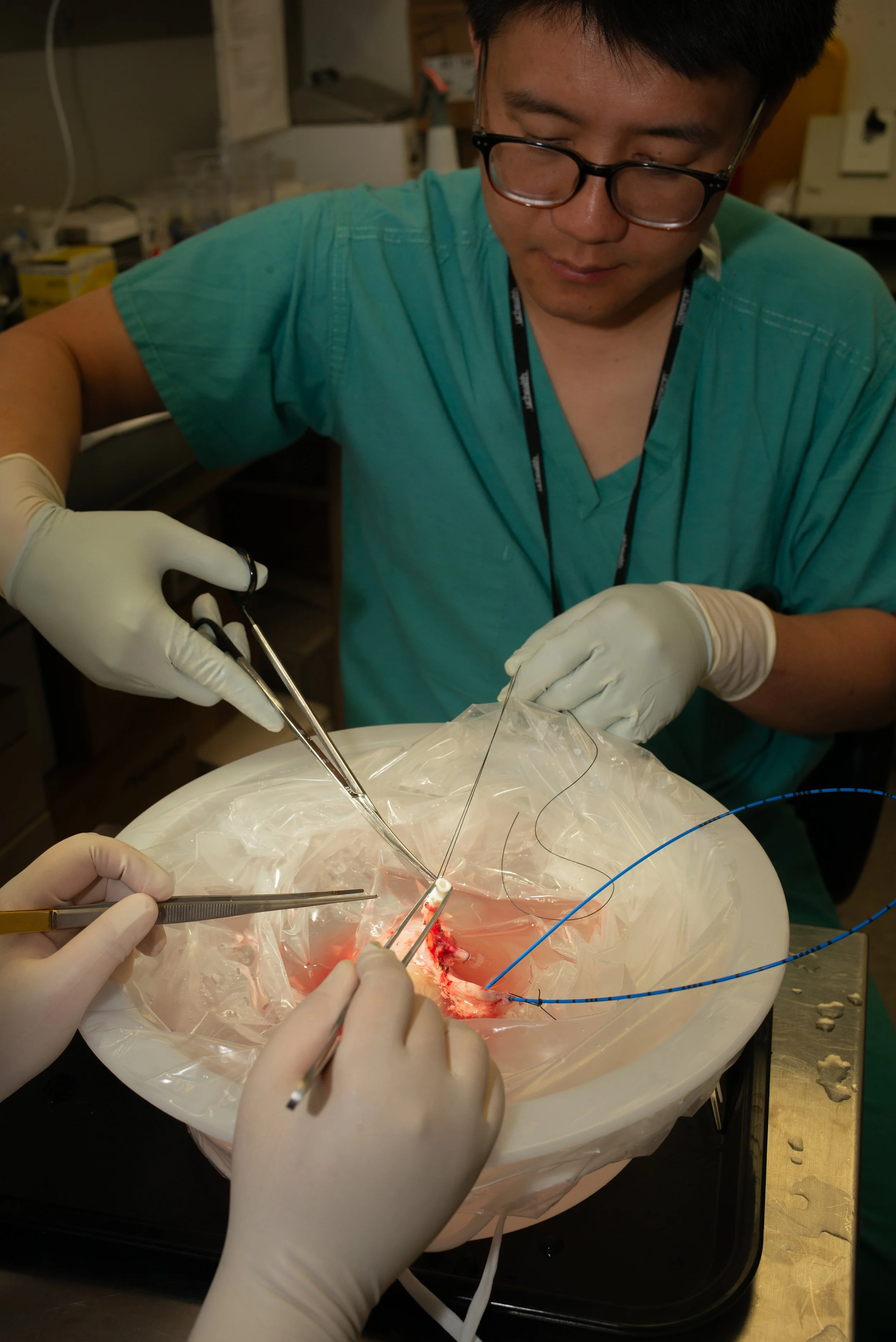 A medical professional and an assistant perform a surgical procedure in a clinical setting, using surgical instruments on an open surgical site covered with a sterile plastic drape.