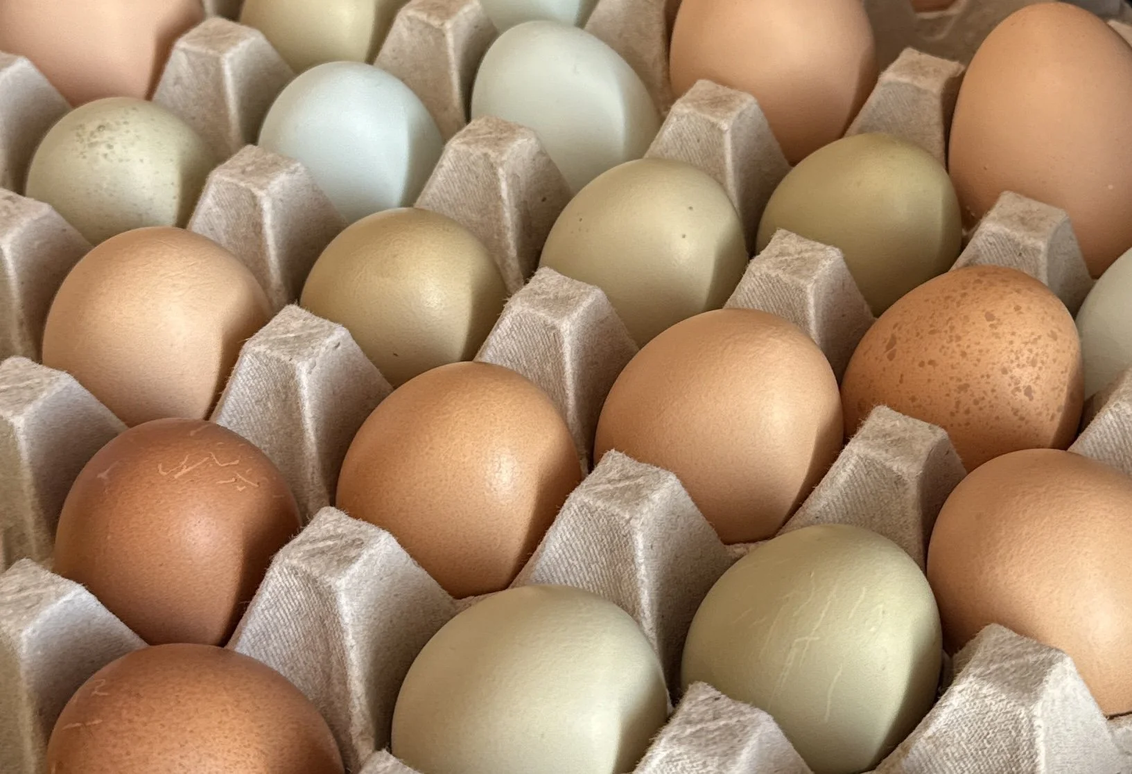 Magnolia Provisions CSA Membership (Half-Share)