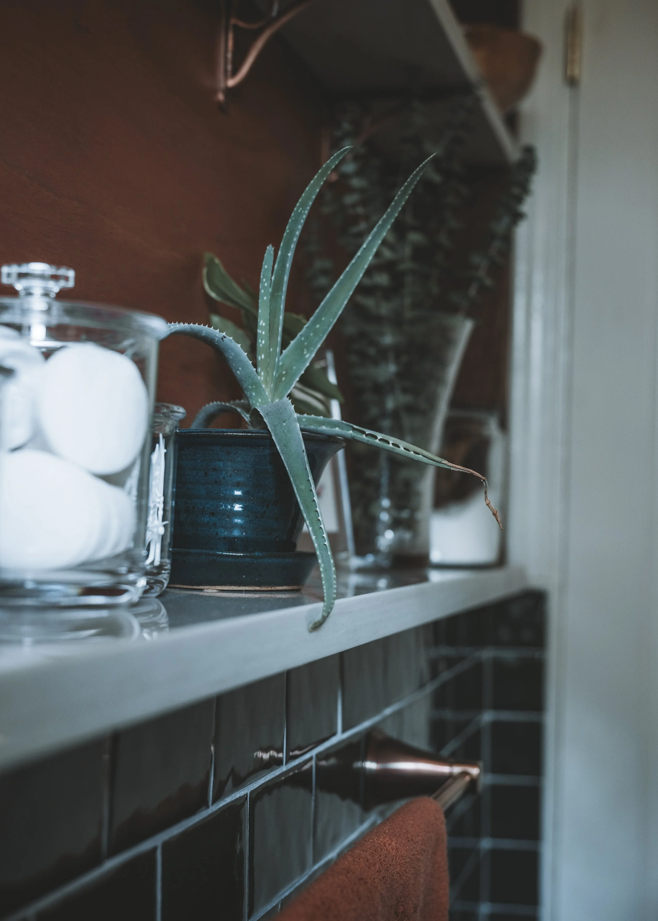 2026_April_BrendanRockStarRemodel_Bathroom_AmyAdams-5.jpg