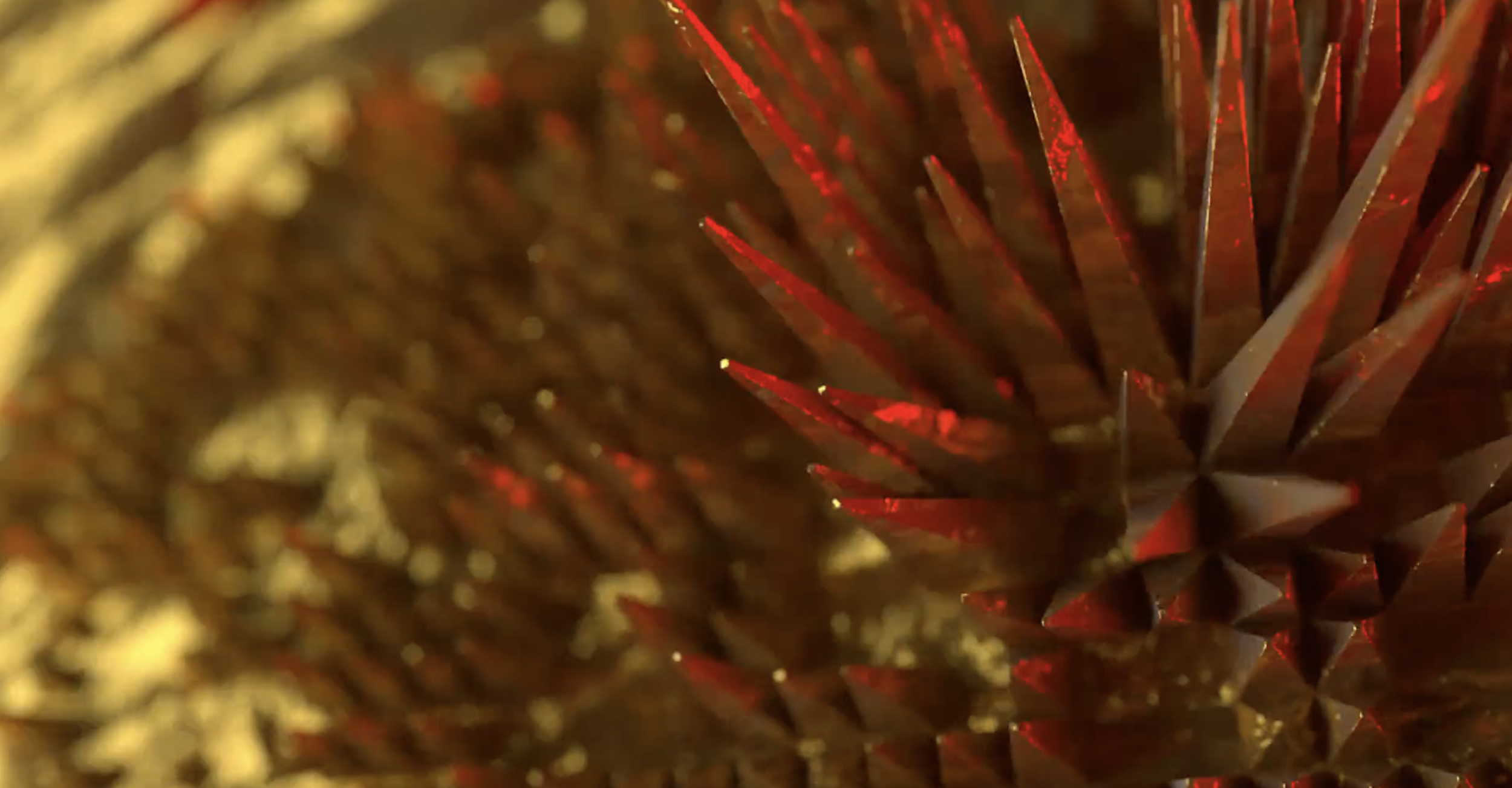 Screen Shot 2022-04-24 at 12.41.52 PM.png