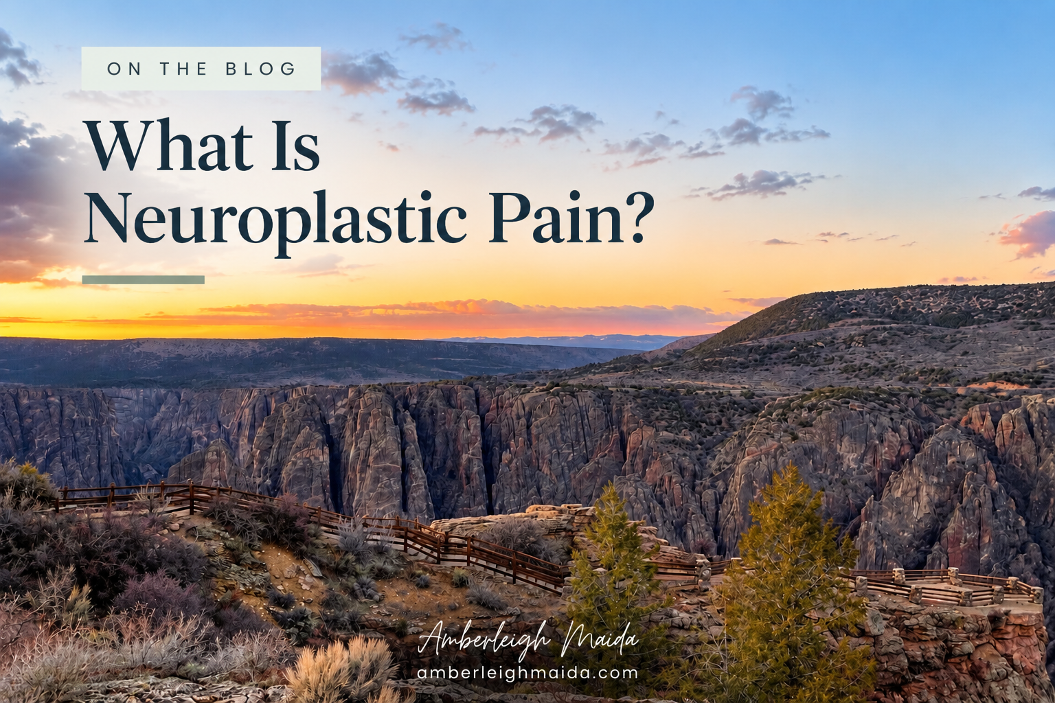 What is Neuroplastic Pain?