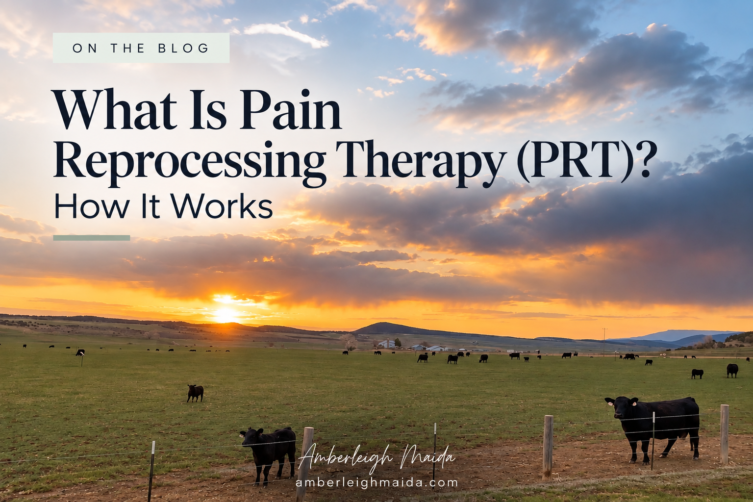 What is Pain Reprocessing Therapy (PRT)?