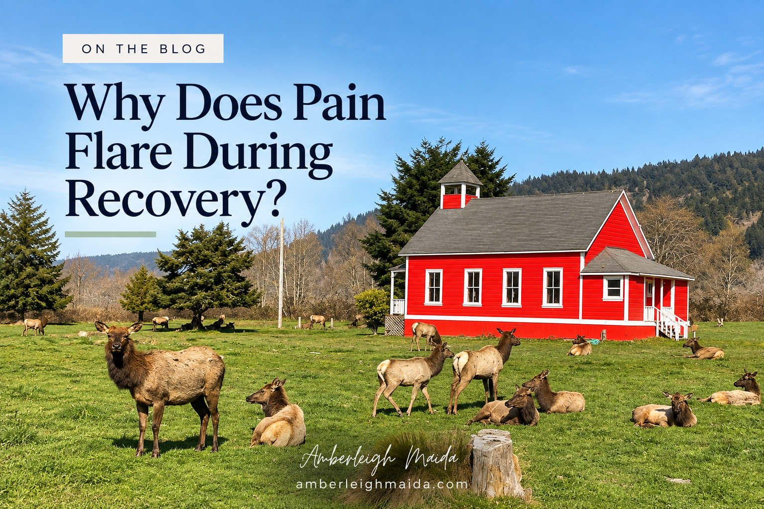 Why Does Pain Flare During Recovery?