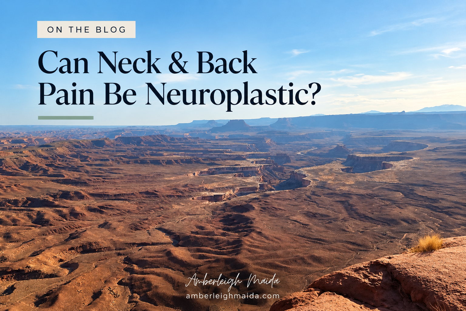 Can Neck &amp; Back Pain Be Neuroplastic?