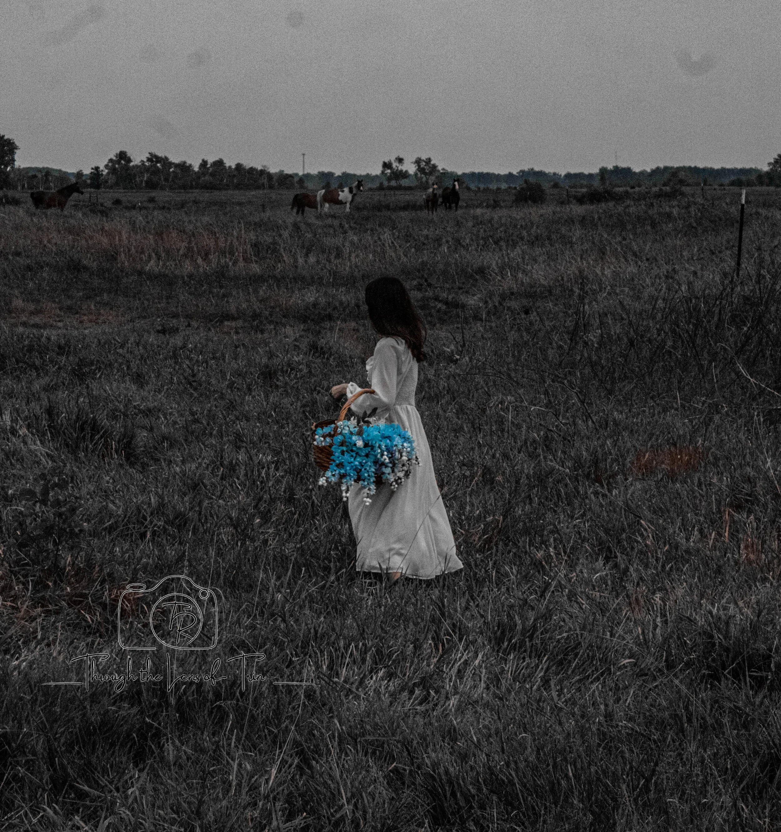 IMG_1432.jpg