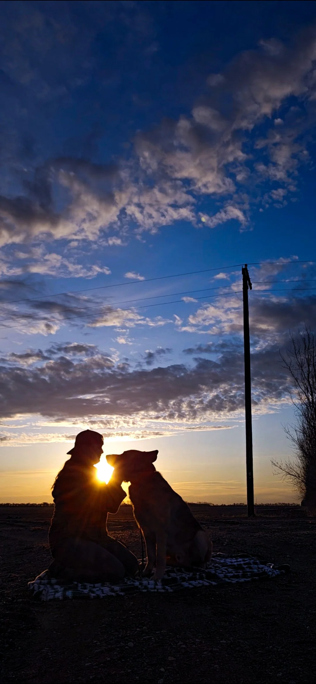 Screenshot_20250501_203742_Gallery (1).jpg