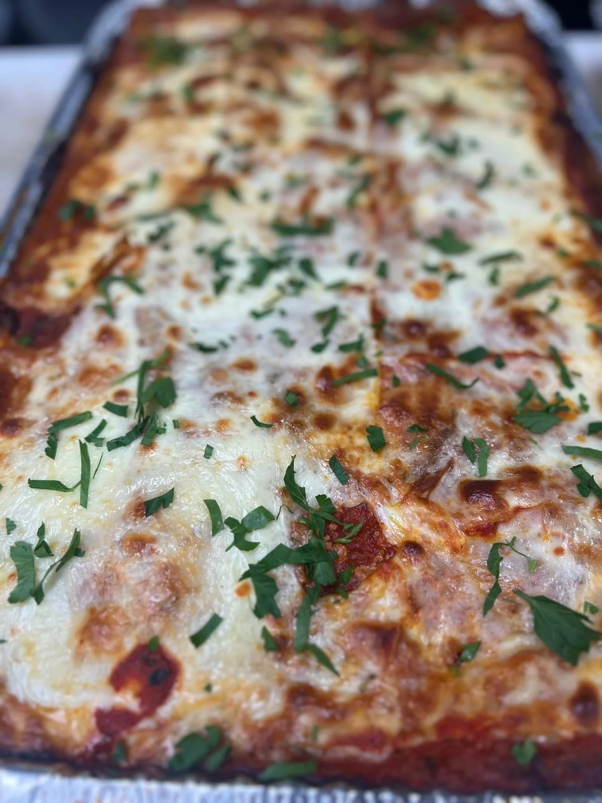 A close-up view of a freshly baked rectangular cheese pizza topped with chopped herbs, with melted cheese and a tomato sauce base.