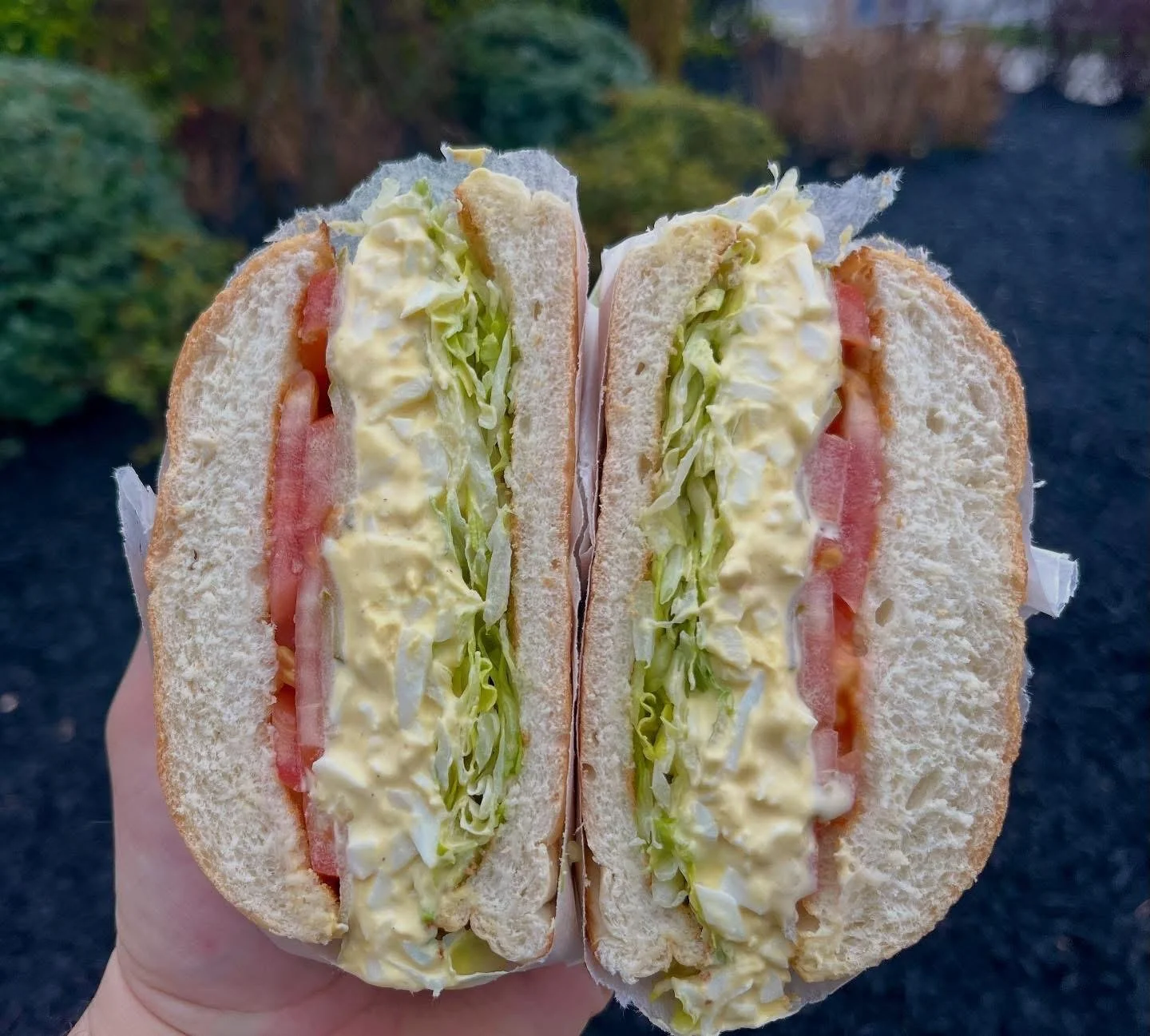 Close-up of a halved sandwich with lettuce, tomato, and egg salad, held outdoors. The background shows trees and a dark pathway.