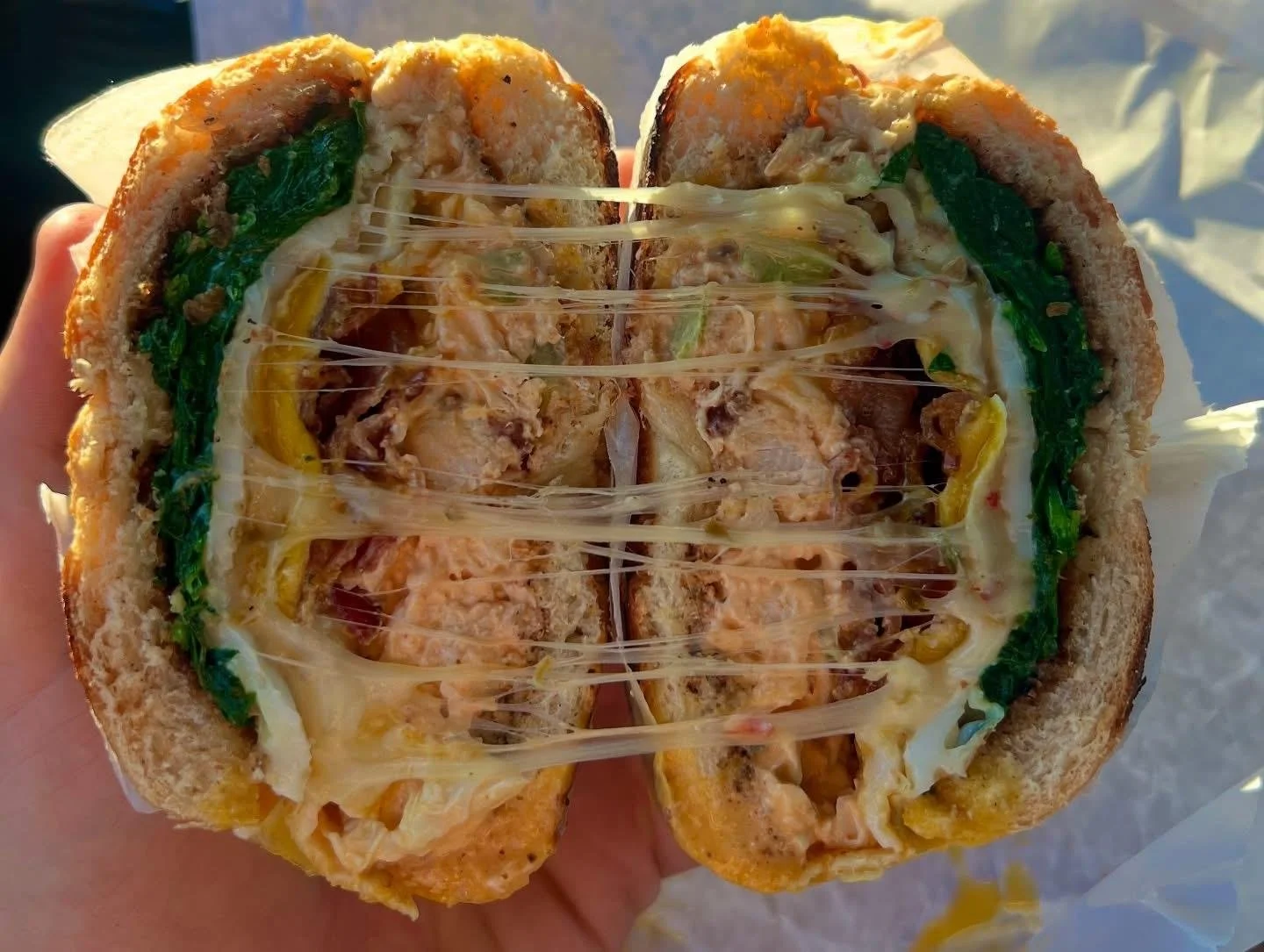 Cross-section of a colorful sandwich with melted cheese, leafy greens, and meat, held in a hand against a blurred outdoor background.