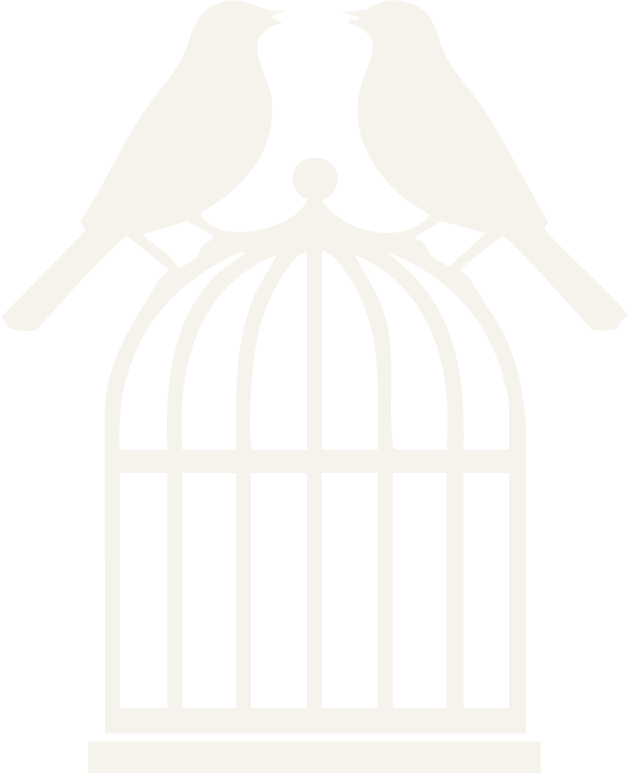 Two birds perched on top of a birdcage, facing each other.