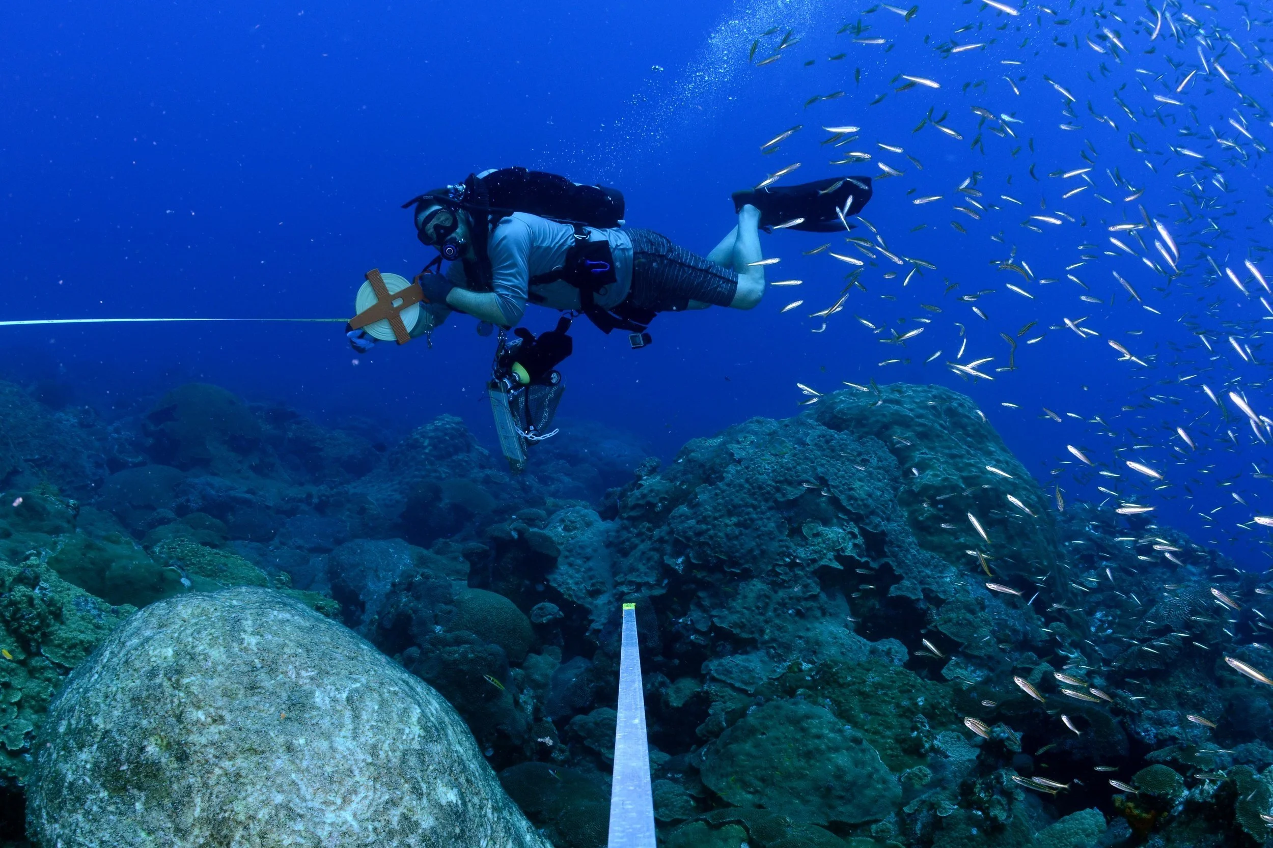 Aquatic Species Survey &amp; Monitoring Dive