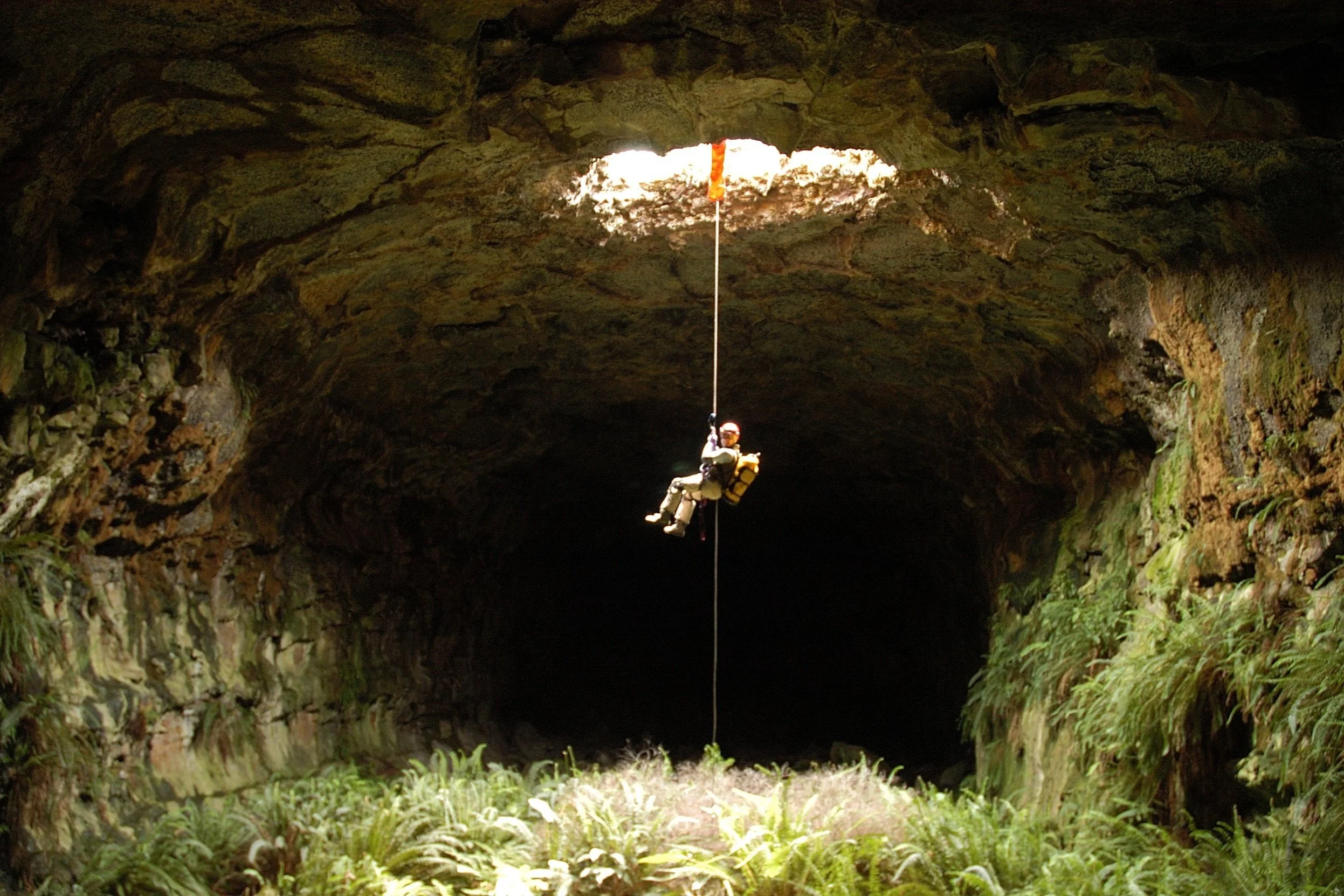 Subsurface Karst Investigation &amp; Habitat Assessment