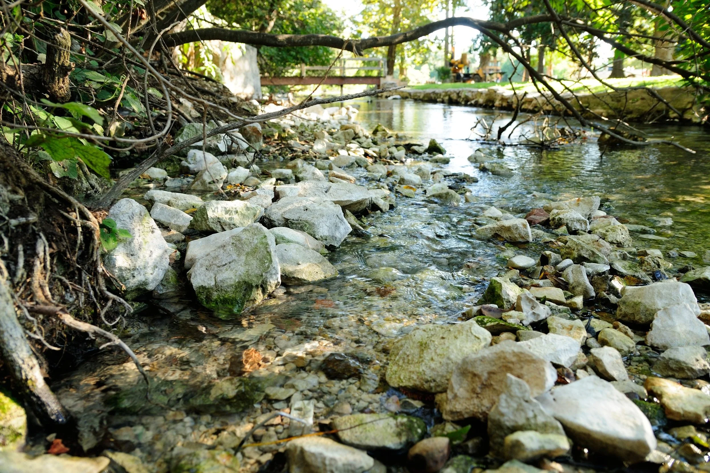Riparian Habitat &amp; Stream Ecology Assessment