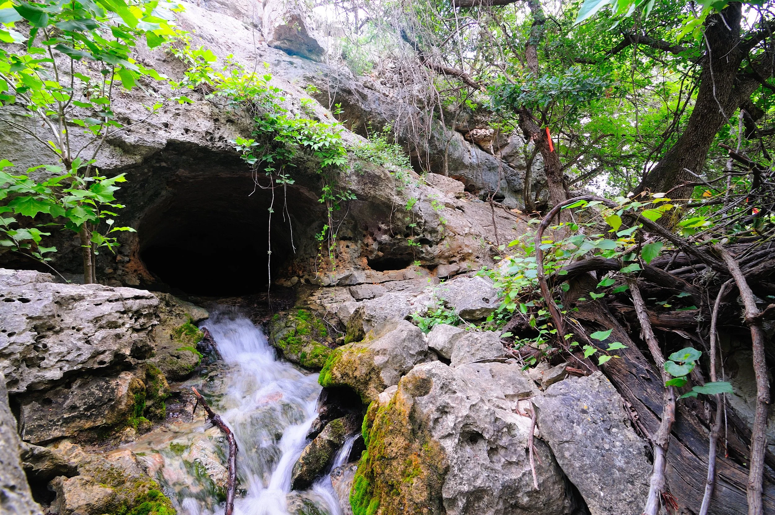 A small mountain stream flowing out of a dark cave in a rocky hillside surrounded by lush green plants and trees.