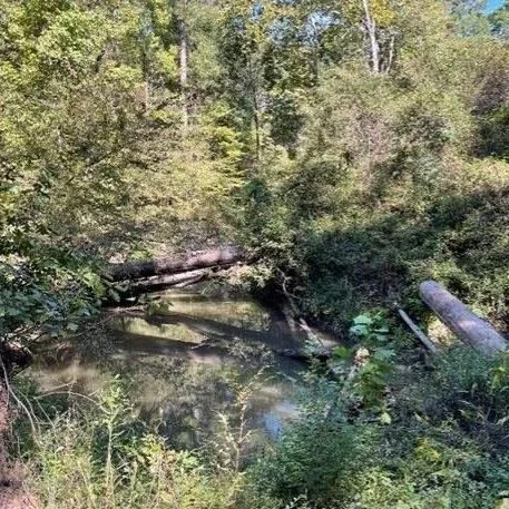 The Alligator Snapping Turtle (AST) is one of Texas&rsquo; most elusive species. It spends most of its life underwater, avoids disturbance, and can be nearly impossible to confirm through traditional surveys.

That&rsquo;s where habitat assessments c