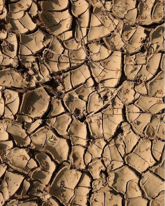Our favorite part of doing Environmental Constraints Assessments is the variety of landscapes that we get to experience while we're in the field. Touching grass for the win!