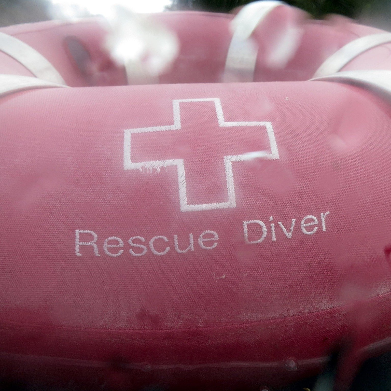 Woot! We just got our annual renewal certificate confirming that we are an Organizational Member of the American Academy of Underwater Sciences (AAUS) for 2026. Proud of our team for continuing to invest in doing the work the right way, especially wh