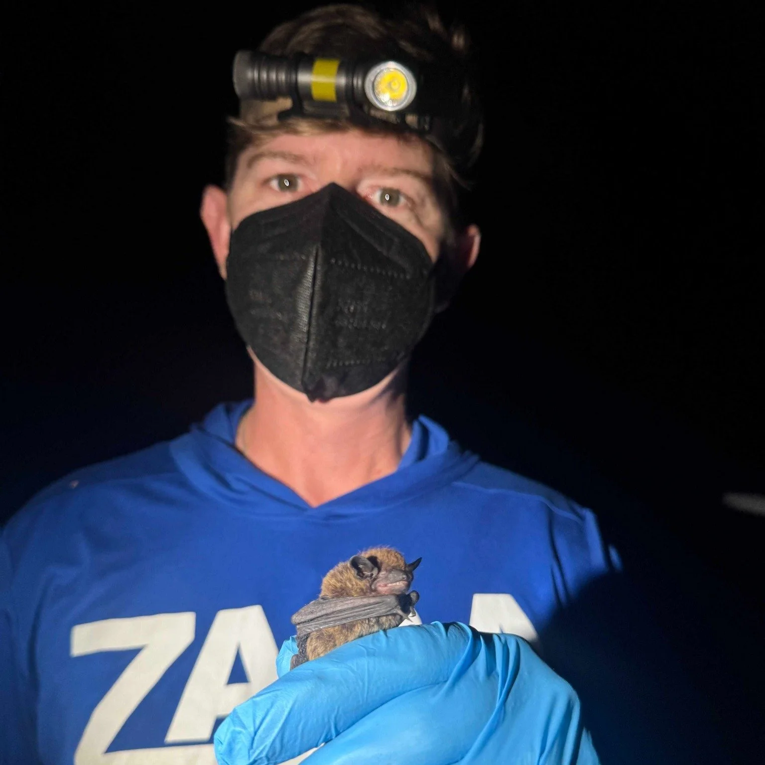 Ever wonder how biologists study bats without harming them? 

Recently, Zara Environmental LLC had the opportunity to collaborate with TTL Civil Engineering to conduct mist netting surveys in Tennessee as part of ongoing environmental field work and 