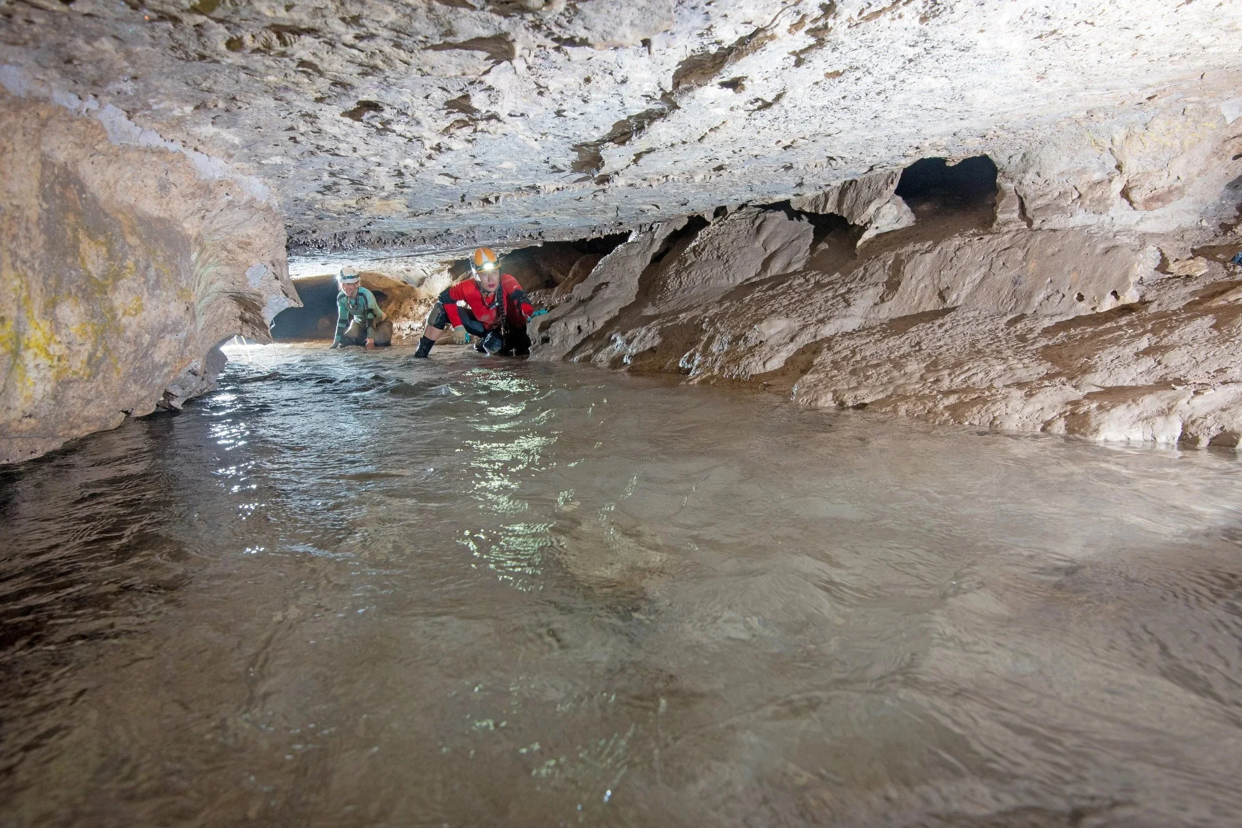 Searching for amphipods in an underground river
