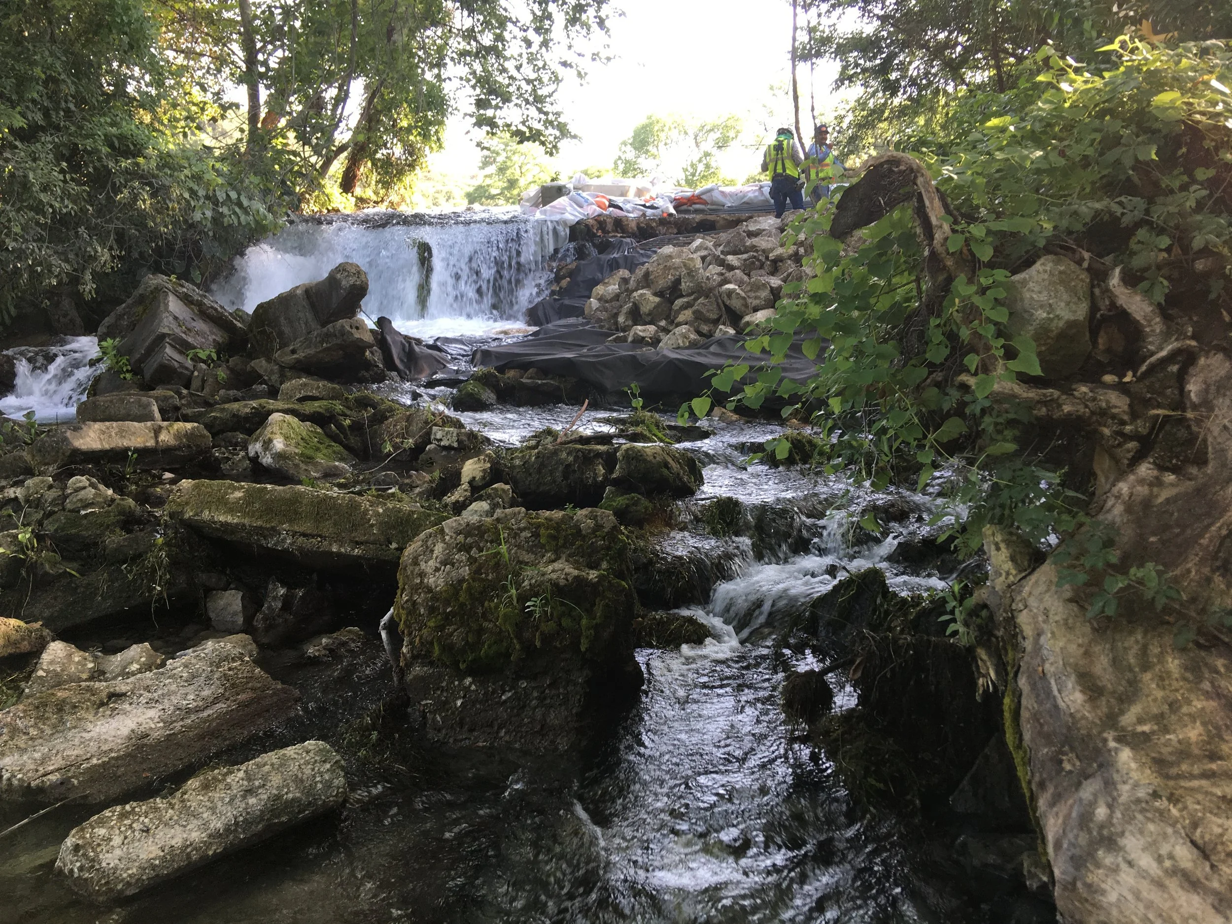 Dam Stabilization in Sensitive Aquatic habitat