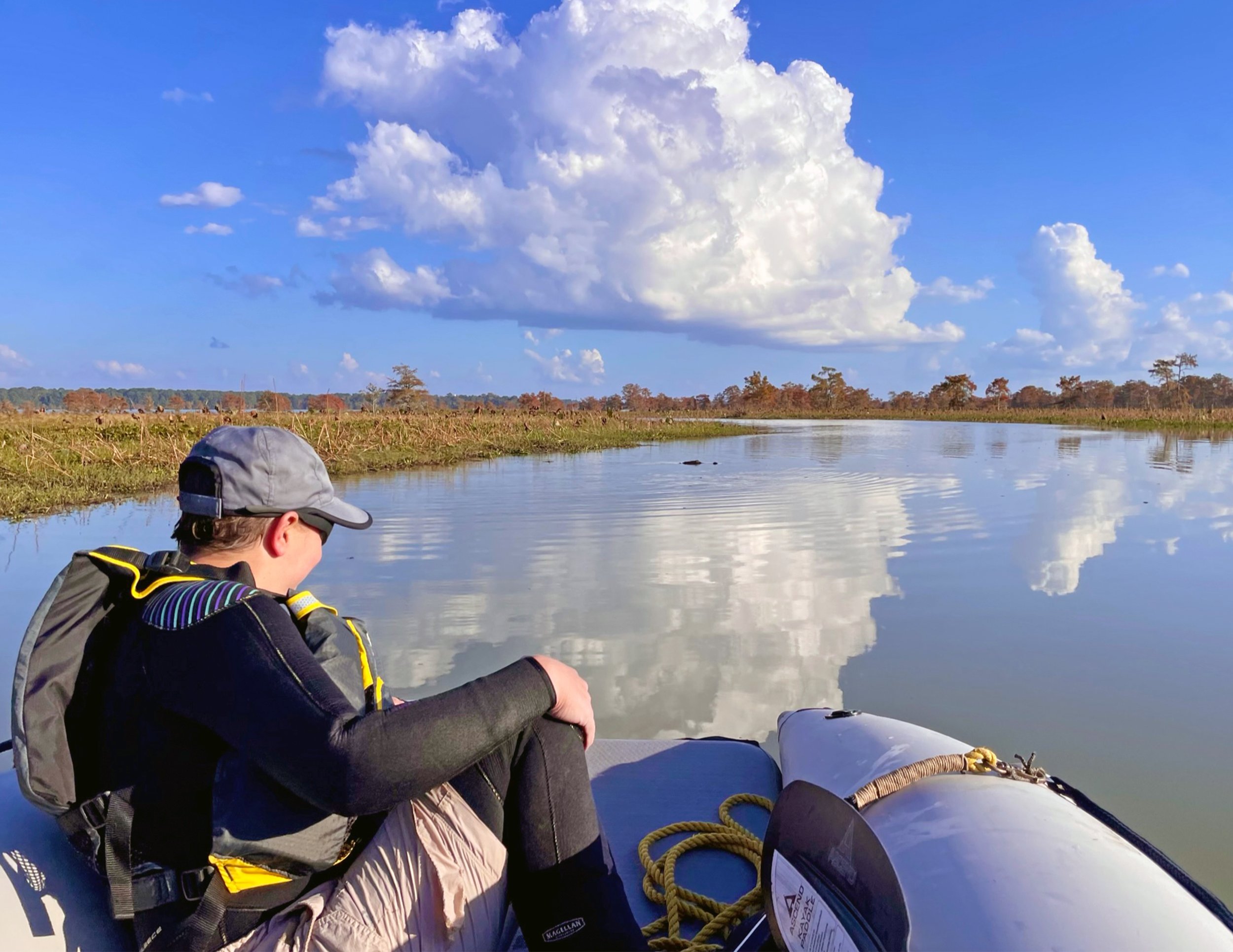 US 190 Bridge Replacement: Mussel Relocation and ESA Consultation