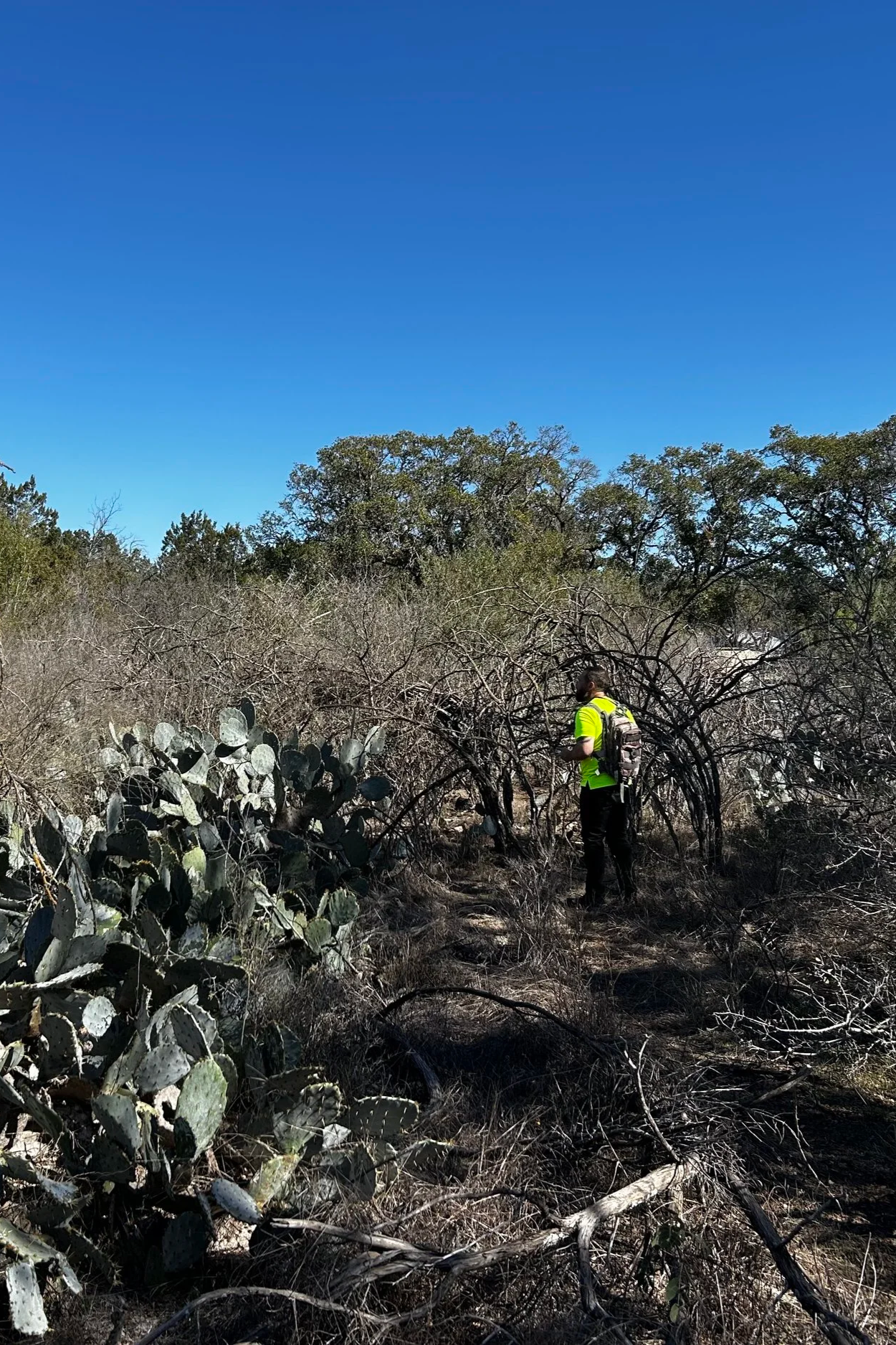 Environmental Due Diligence for Property Development