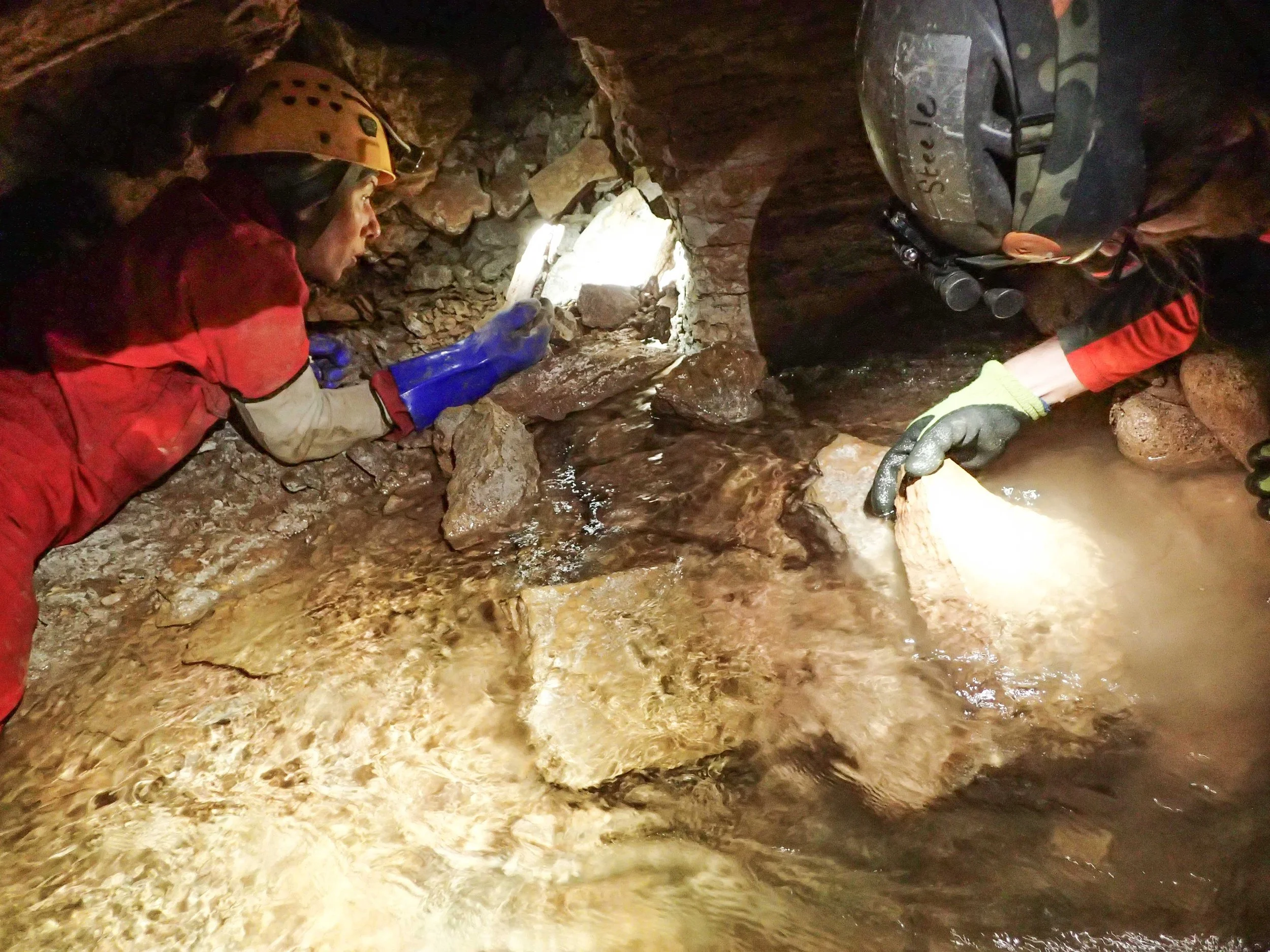 Two cavers wearing helmets and gloves are inside a cave with water, examining the water and rocks near a small opening in the cave wall with a flashlight.