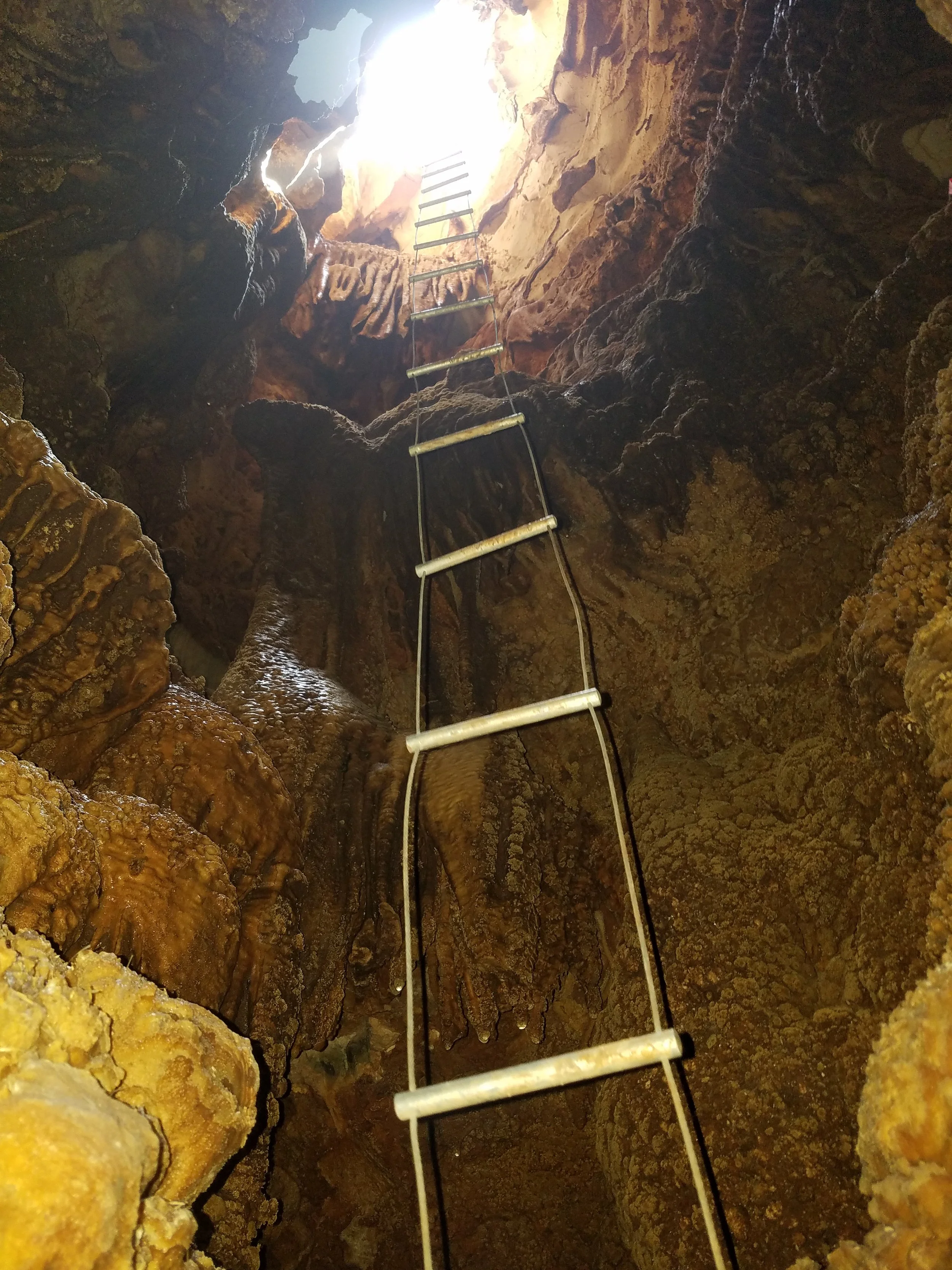 Inside a cave with mineral formations and a metal ladder leading upwards toward the opening at the top.