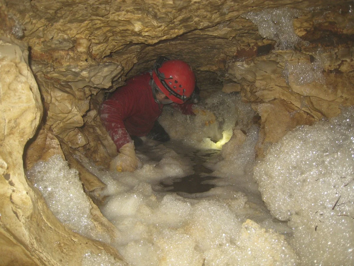 Searching for fauna while being careful of delicate cave formations