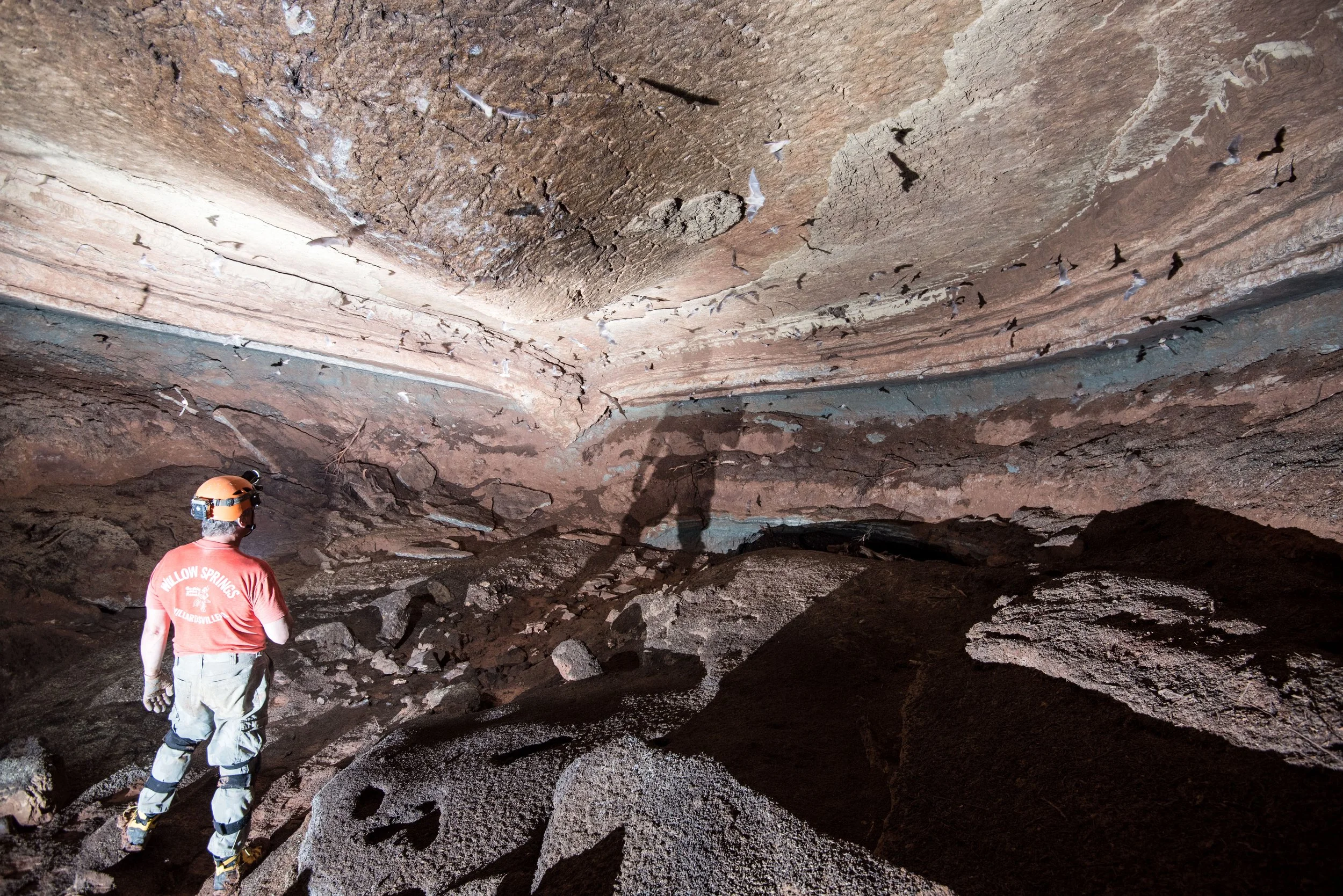 Marveling at geologic art