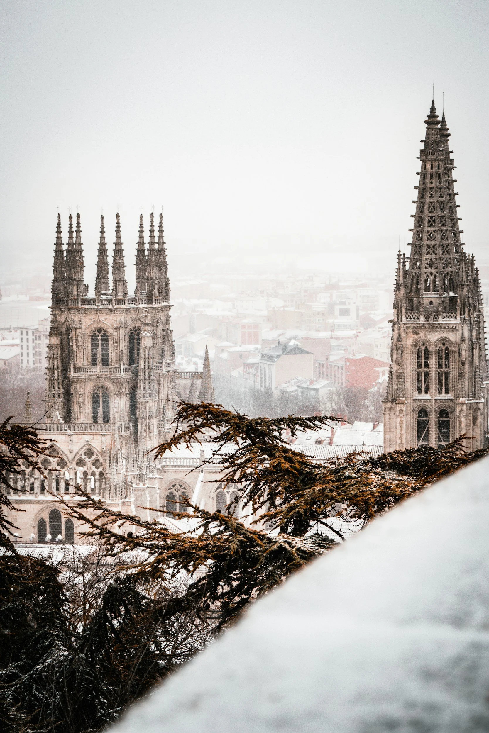 Catedral gótica en una ciudad nevada con árboles y edificios en el fondo.